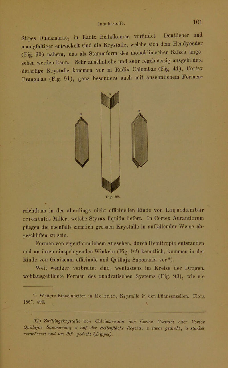 Stipes Dulcamarae, in Radix Belladonnae vorfindet. Deutlicher und manigfaltiger entwickelt sind die Krystalle, welche sich dem Hendyoeder (Fig. 90) nähern, das als Stammform des monoklinischen Salzes ange- sehen werden kann. Sehr ansehnliche und sehr regelmässig ausgebildete derartige Krystalle kommen vor in Radix Calumbae (Fig. 41), Cortex Frangulae (Fig. 91), ganz besonders auch mit ansehnlichem Formen- reichthum in der allerdings nicht officinellen Rinde von Liquid am bar orientalis Miller, welche Styrax liquida liefert. In Cortex Aurantiorum pflegen die ebenfalls ziemlich grossen Krystalle in auffallender Weise ab- geschliffen zu sein. Formen von eigenthiimlichem Aussehen, durch Hemitropie entstanden und an ihren einspringenden Winkeln (Fig. 92) kenntlich, kommen in der Rinde von Guaiacum officinale und Quillaja Saponaria vor*). Weit weniger verbreitet sind, wenigstens im Kreise der Drogen, wohlausgebildete Formen des quadratischen Systems (Fig. 93), wie sie *) Weitere Einzelnheiten in Holzner, Krystalle in den Pflanzenzellen. Flora 1867. 499. v 92) Zwillingskrystalle von Calciumoxalat aus Cortex Guaiaci oder Cortex Quillajae Saponariae; a auf der Seitenfläche liegend, c etwas gedreht, b stärker vergrössert und um 90° gedreht (Dippel).