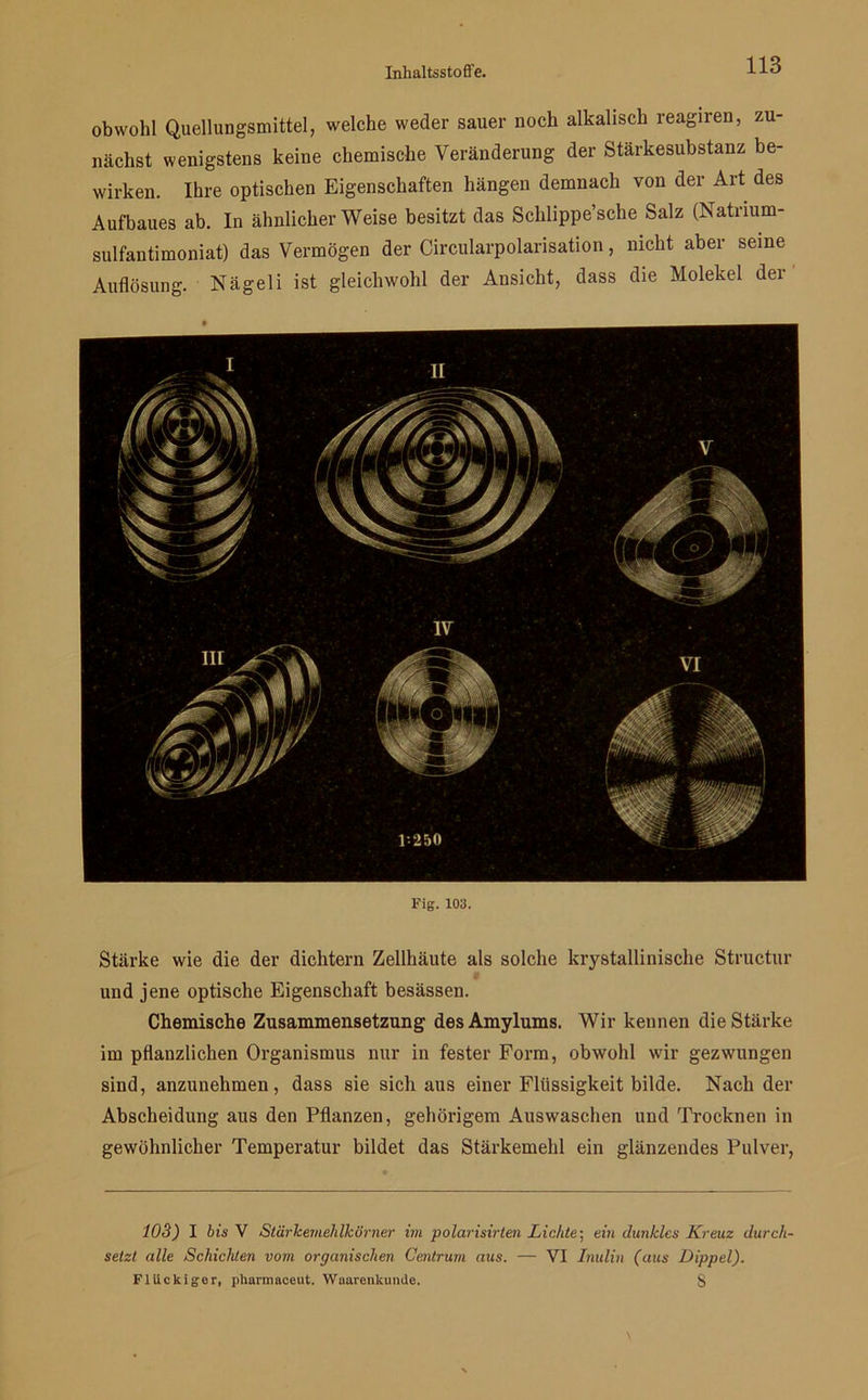 obwohl Quellungsmittel, welche weder sauer noch alkalisch reagiren, zu- nächst wenigstens keine chemische Veränderung der Stärkesubstanz be- wirken. Ihre optischen Eigenschaften hängen demnach von der Art des Aufbaues ab. In ähnlicherWeise besitzt das Schlippe’sche Salz (Natrium- sulfantimoniat) das Vermögen der Circularpolarisation, nicht aber seine Auflösung. Nägeli ist gleichwohl der Ansicht, dass die Molekel der Fig. 103. Stärke wie die der dichtem Zellhäute als solche krystallinische Structur und jene optische Eigenschaft besässen. Chemische Zusammensetzung desAmylums. Wir kennen die Stärke im pflanzlichen Organismus nur in fester Form, obwohl wir gezwungen sind, anzunehmen, dass sie sich aus einer Flüssigkeit bilde. Nach der Abscheidung aus den Pflanzen, gehörigem Auswaschen und Trocknen in gewöhnlicher Temperatur bildet das Stärkemehl ein glänzendes Pulver, 103) I bis V Stärkemehlkörner im polarisirten Lichte-, ein dunkles Kreuz durch- setzt alle Schichten vom organischen Gentrum aus. — VI Inulin (aus Dippel). FlUckiger, pharmaceut. Waarenkunde. S
