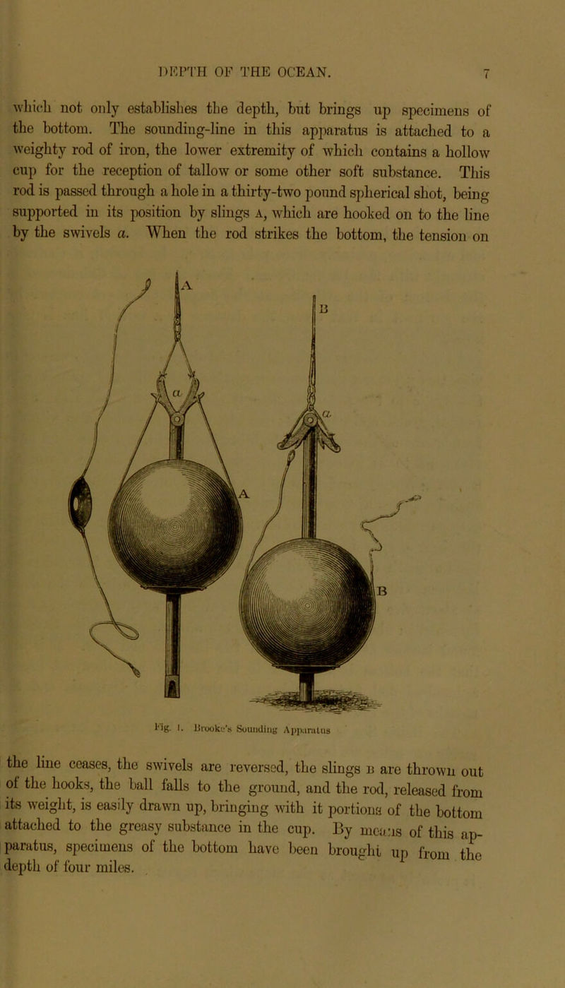 which not only establishes the depth, but brings up specimens of the bottom. The sounding-line in this apparatus is attached to a weighty rod of iron, the lower extremity of which contains a hollow' cup for the reception of tallow or some other soft substance. This rod is passed through a hole in a thirty-two pound spherical shot, being supported in its position by slings a, which are hooked on to the line by the swivels a. When the rod strikes the bottom, the tension on l'ig. I. litookc’s Sounding Apparatus the line ceases, the swivels are reversed, the slings n are thrown out ol the hooks, the ball falls to the ground, and the rod, released from its weight, is easily drawn up, bringing with it portions of the bottom attached to the greasy substance in the cup. By means of this ap- paratus, specimens of the bottom have been brought up from the depth of four miles.