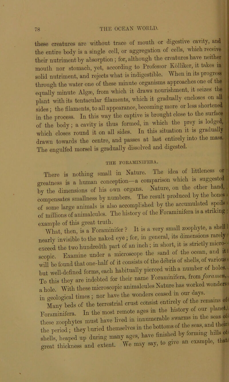 these creatures are without trace of mouth or digestive cavity, and 1 the entire body is a single cell, or aggregation ot cells, which leceivel their nutriment by absorption ; for, although the creatures have neither j mouth nor stomach, yet, according to Professor Kolliker, it takes m solid nutriment, and rejects what is indigestible. When in its progress I through the water one of these minute organisms approaches one of the equally minute Algae, from which it draws nourishment, it seizes the| plant with its tentacular filaments, which it gradually encloses on aU l sides; the filaments, to all appearance, becoming more or less shortened j in the process. In this way the captive is brought close to the surface of the body; a cavity is thus formed, in which the prey is lodged, which closes round it on all sides. In this situation it is gradually drawn towards the centre, and passes at last entirely into the mass. The engulfed morsel is gradually dissolved and digested. THE F0KAMIN1FEEA. There is nothing small in Nature. The idea of littleness or greatness is a human conception—a comparison which is suggests | by the dimensions of his own organs. Nature, on the other hand, compensates smallness by numbers. The result produced by the bones I of some large animals is also accomplished by the accumulated spoils) of millions of animalcules. The history of the Foramimfera is a striking H example of this great truth. What, then, is a Foraminifer ? It is a very small zoophyte, a shell 1 nearly invisible to the naked eye ; for, in general, its dimensions rarely d exceed the two hundredth part of an inch; in short, it is strictly micro- - sconic. Examine under a microscope the sand of the ocean and f* will be found that one-half of it consists of the debris ot shells, ot variousS but well-defined forms, each habitually pierced with a number of ho es. To this they are indebted for their name Foramimfera, from foramei^t a hole With these microscopic animalcules Nature has worked wonders* in geological times ; nor have the wonders ceased m our days. Many beds of the terrestrial crust consist entirely of the remains of Foraminifera. In the most remote ages in the history of our plane v these zoophytes must have lived in innumerable swarms m the seas of the period • ^they buried themselves in the bottoms of the seas, and itheir. 4 during many ages, have finished by taunj great thickness and extent. We may say, to give an example, that