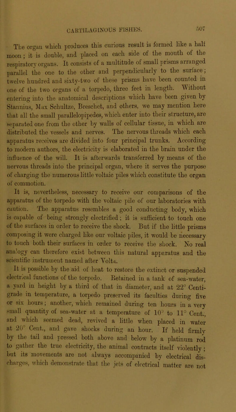 The organ which produces this curious result is formed like a hall moon; it is double, and placed on each side of the mouth of the respiratory organs. It consists ol a multitude of small piisms airanged parallel the one to the other and perpendicularly to the surface; twelve hundred and sixty-two ol these prisms have been counted in one of the two organs of a torpedo, three feet in length. Y ithout entering into the anatomical descriptions which have been given by Stannius, Max Schultze, Breschet, and others, we may mention here that all the small parallelopipedes, which enter into their structure, are separated one from the other by walls of cellular tissue, in which are distributed the vessels and nerves. The nervous threads which each apparatus receives are divided into four principal trunks. According to modern authors, the electricity is elaborated in the brain under the influence of the will. It is afterwards transferred by means of the nervous threads into the principal organ, where it serves the purpose of charging the numerous little voltaic piles which constitute the organ of commotion. It is, nevertheless, necessary to receive our comparisons of the apparatus of the torpedo with the voltaic pile of our laboratories with caution. The apparatus resembles a good conducting body, which is capable of being strongly electrified; it is sufficient to touch one of the surfaces in order to receive the shock. But if the little prisms composing it were charged like our voltaic piles, it would be necessary to touch both their surfaces in order to receive the shock. No real analogy can therefore exist between this natural apparatus and the scientific instrument named after Yolta. It is possible by the aid of heat to restore the extinct or suspended electrical functions ot the torpedo. Retained in a tank of sea-water, a yard in height by a third of that in diameter, and at 22° Centi- grade in temperature, a torpedo preserved its faculties during five or six hours; another, which remained during ten hours in a very small quantity of sea-water at a temperature of 103 to 11° Cent., and which seemed dead, revived a little when placed in water at 20° Cent., and gave shocks during an hour. If held firmly by the tail and pressed both above and below by a platinum rod to gather the true electricity, the animal contracts itself violently ; but its movements are not always accompanied by electrical dis- charges, which demonstrate that the jets of electrical matter are not