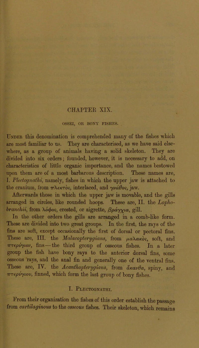 CHAPTER XIX. OSSEI, OR BONY FISHES. Under this denomination is comprehended many of the fishes which are most familiar to us. They are characterised, as we have said else- where, as a group of animals having a solid skeleton. They are divided into six orders; founded, however, it is necessary to add, on characteristics of little organic importance, and the names bestowed upon them are of a most barbarous description. These names are, I. Pledognathi, namely, fishes in which the upper jaw is attached to the cranium, from 7rX.e/cTo<>, interlaced, and yvados, jaw. Afterwards those in which the upper jaw is movable, and the gills arranged in circles, like rounded hoops. These are, II. the Lopho- branchii, from Ao<£o?, crested, or aigrette, f3pay^ia, gill. In the other orders the gills are arranged in a comb-like form. These are divided into two great groups. In the first, the rays of the fins are soft, except occasionally the first of dorsal or pectoral fins. These are, III. the Malacopterygians, from paXa/cos, soft, and TTTepvyiov, fins — the third group of osseous fishes. In a later group the fish have bony rays to the anterior dorsal fins, some osseous rays, and the anal fin and generally one of the ventral fins. These are, IV. the Acantliopterygians, from a/cavOa, spiny, and Trrepvyiov, finned, which form the last group of bony fishes. I. Plectognathi. From their organization the fishes of this order establish the passage from cartilaginous to the osseous fishes. Their skeleton, which remains