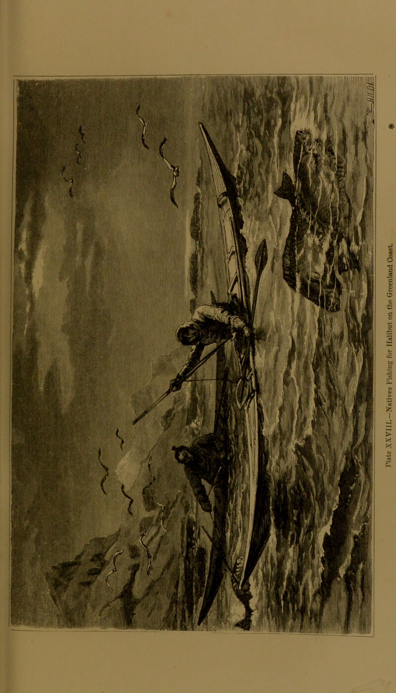 Plate XXVIII.—Natives Fishing for Halibut on the Greenland Coast