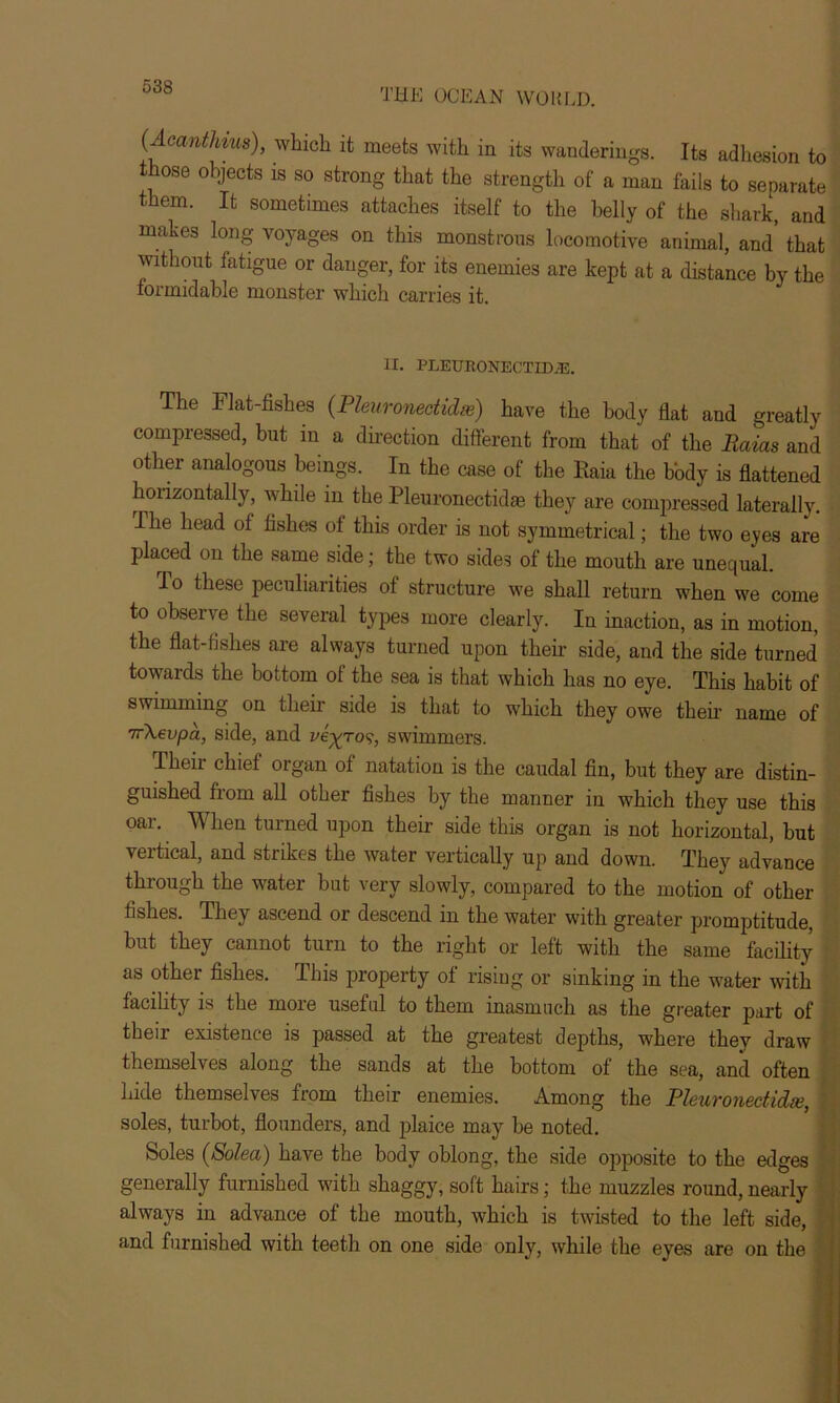 THE OCEAN WOULD. Accmthius), which it meets with in its wanderings. Its adhesion to those objects is so strong that the strength of a man fails to separate them. It sometimes attaches itself to the belly of the shark, and makes long voyages on this monstrous locomotive animal, and that without fatigue or danger, for its enemies are kept at a distance by the formidable monster which carries it. II. PLEURONECTHUE. The Flat-fishes (Pleuronectidm) have the body flat and greatly compressed, but in a direction different from that of the Raias and other analogous beings. In the case of the llaia the body is flattened horizontally, while in the Pleuronectidas they are compressed laterally, ffhe head of fishes of this order is not symmetrical; the two eyes are placed on the same side; the two sides of the mouth are unequal. To these peculiarities of structure we shall return when we come to observe the several types more clearly. In inaction, as in motion, the flat-fishes are always turned upon their side, and the side turned towards the bottom of the sea is that which has no eye. This habit of swimming on their side is that to which they owe their name of 7rXevpa, side, and ve^ro?, swimmers. iheii chief organ of natation is the caudal fin, but they are distin- guished from all other fishes by the manner in which they use this oar. When turned upon their side this organ is not horizontal, but vertical, and strikes the water vertically up and down. They advance through the water but very slowly, compared to the motion of other fishes. They ascend or descend in the water with greater promptitude, but they cannot turn to the right or left with the same facility as other fishes. This property of rising or sinking in the water with facility is the more useful to them inasmuch as the greater part of their existence is passed at the greatest depths, where they draw themselves along the sands at the bottom of the sea, and often hide themselves from their enemies. Among the Pleuvonectidx, , soles, turbot, flounders, and plaice may be noted. Soles (Solea) have the body oblong, the side opposite to the edges generally furnished with shaggy, soft hairs; the muzzles round, nearly always in advance of the mouth, which is twisted to the left side, and furnished with teeth on one side only, while the eyes are on the