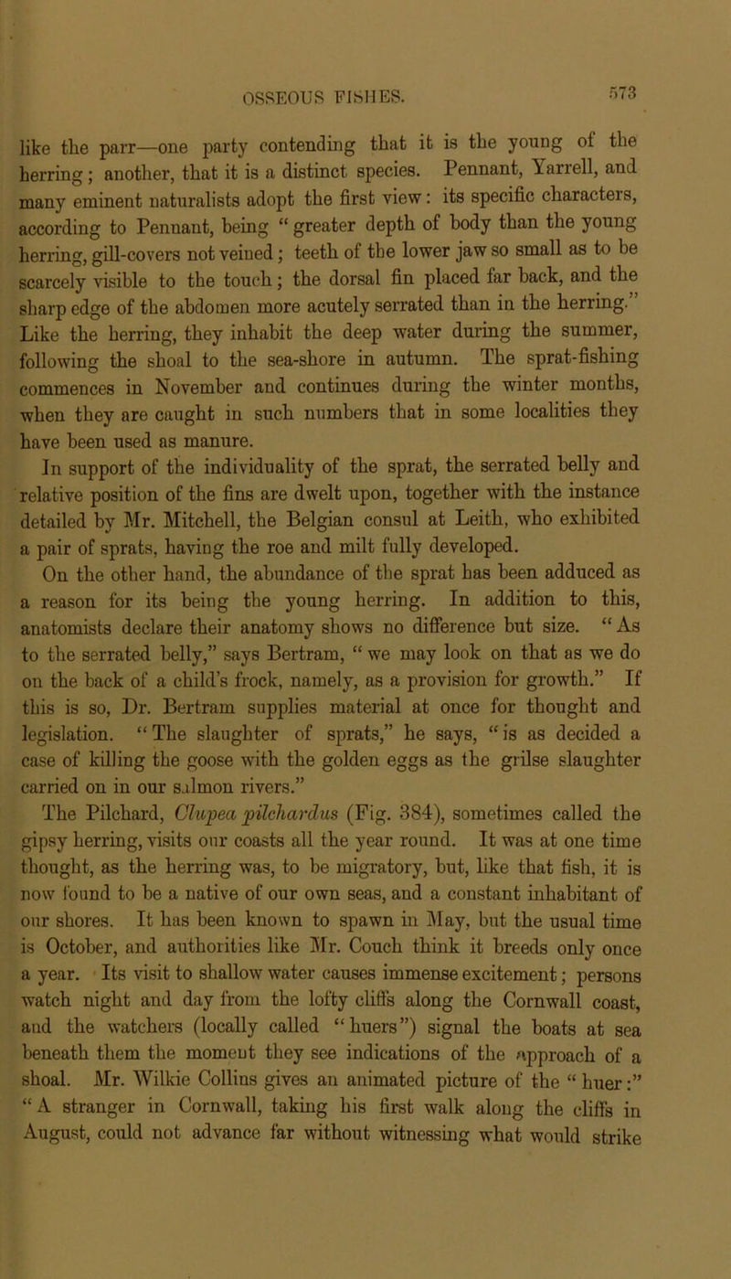 like the parr—one party contending that it is the young ot the herring; another, that it is a distinct species. Pennant, Yarrell, and many eminent naturalists adopt the first view: its specific characters, according to Pennant, being “ greater depth of body than the young herring, gill-covers not veined; teetb of the lower jaw so small as to be scarcely visible to the touch; tbe dorsal fin placed far back, and the sharp edge of the abdomen more acutely serrated than in tbe herring. Like the herring, they inhabit the deep water during the summer, following the shoal to the sea-shore in autumn. The sprat-fishing commences in November and continues during the winter months, when they are caught in such numbers that in some localities they have been used as manure. In support of the individuality of the sprat, the serrated belly and relative position of the fins are dwelt upon, together with the instance detailed by Mr. Mitchell, the Belgian consul at Leith, who exhibited a pair of sprats, having the roe and milt fully developed. On the other hand, the abundance of the sprat has been adduced as a reason for its being the young herring. In addition to this, anatomists declare their anatomy shows no difference but size. “ As to the serrated belly,” says Bertram, “ we may look on that as we do on the back of a child’s frock, namely, as a provision for growth.” If this is so, Dr. Bertram supplies material at once for thought and legislation. “ The slaughter of sprats,” he says, “ is as decided a case of killing the goose with the golden eggs as the grilse slaughter- carried on in our salmon rivers.” The Pilchard, Clupea pilchardus (Fig. 384), sometimes called the gipsy herring, visits our coasts all the year round. It was at one time thought, as the herring was, to be migratory, but, like that fish, it is now found to be a native of our own seas, and a constant inhabitant of our shores. It has been known to spawn in May, but the usual time is October, and authorities like Mr. Couch think it breeds only once a year. Its visit to shallow water causes immense excitement; persons watch night and day from the lofty cliffs along the Cornwall coast, and the watchers (locally called “huers”) signal the boats at sea beneath them the moment they see indications of the approach of a shoal. Mr. Wilkie Collins gives an animated picture of the “ huer “A stranger in Cornwall, taking his first walk along the cliffs in August, could not advance far without witnessing what would strike