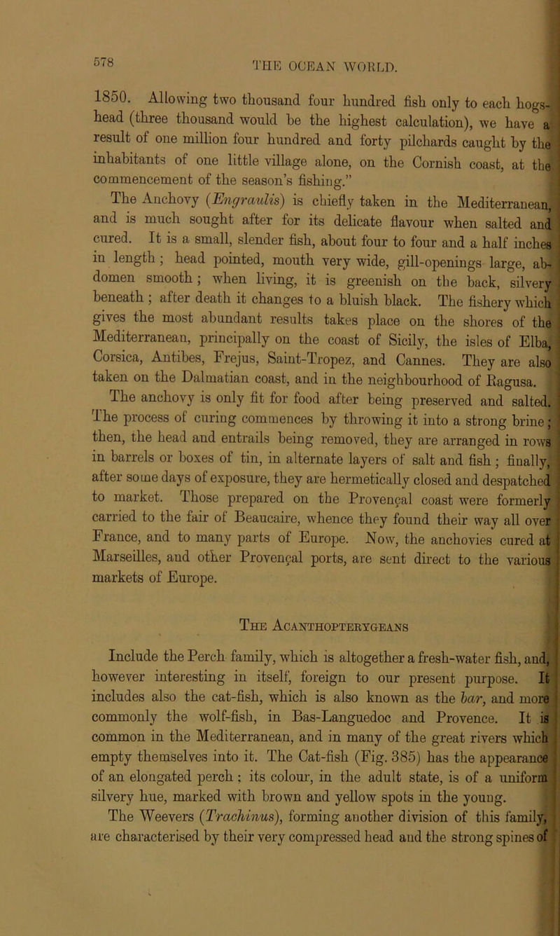 1850. Allowing two thousand four hundred fish only to each hogs-J head (three thousand would he the highest calculation), we have a result of one million four hundred and forty pilchards caught by the inhabitants of one little village alone, on the Cornish coast, at the commencement of the season’s fishing.” The Anchovy (Engraulis) is chiefly taken in the Mediterranean, ] and is much sought after for its delicate flavour when salted and cured. It is a small, slender fish, about four to four and a half inches ' in length ; head pointed, mouth very wide, gill-openings large, al> I domen smooth; when living, it is greenish on the back, silvery beneath , after death it changes to a bluish black. The fishery which gives the most abundant results takes place on the shores of the Mediterranean, principally on the coast of Sicily, the isles of Elba, Corsica, Antibes, Frejus, Saint-Tropez, and Cannes. They are also j taken on the Dalmatian coast, and in the neighbourhood of llagusa. The anchovy is only fit for food after being preserved and salted, j The process of curing commences by throwing it into a strong brine; then, the head and entrails being removed, they are arranged in rows ] in barrels or boxes of tin, in alternate layers of salt and fish; finally, 1 after some days of exposure, they are hermetically closed and despatched I to market. Those prepared on the Provencal coast were formerly carried to the fair of Beaucaire, whence they found their way all over ; France, and to many parts of Europe. Now, the anchovies cured at Marseilles, aud other Provencal ports, are sent direct to the various markets of Europe. The Acanthopterygeans Include the Perch family, which is altogether a fresh-water fish, and, however interesting in itself, foreign to our present purpose. It includes also the cat-fish, which is also known as the lar, and more commonly the wolf-fish, in Bas-Languedoc and Provence. It is common in the Mediterranean, and in many of the great rivers which empty themselves into it. The Cat-fish (Fig. 385) has the appearance of an elongated perch : its colour, in the adult state, is of a uniform silvery hue, marked with brown and yellow spots in the young. The Weevers (Trachinus), forming another division of this family, ] are characterised by their very compressed head and the strong spines of