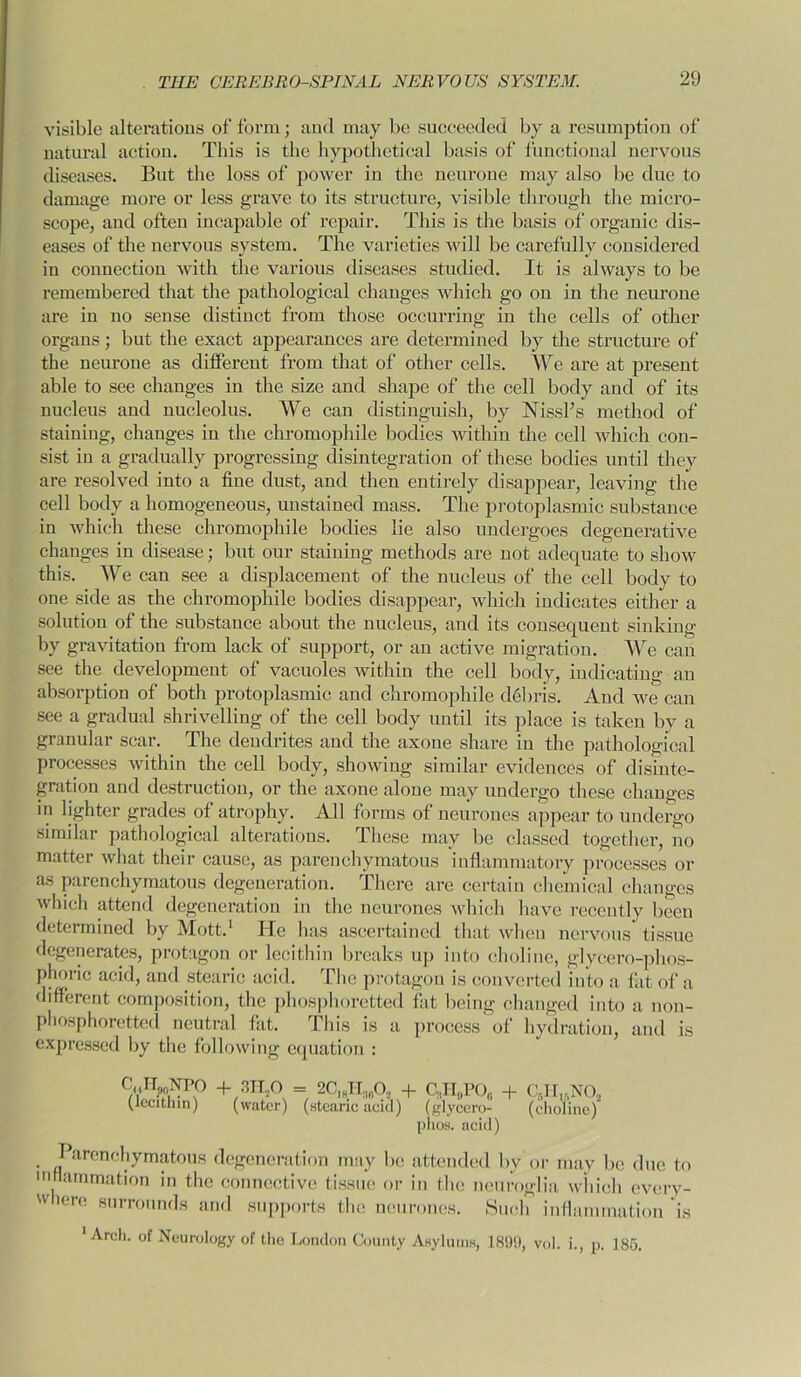 visible alterations of form; and may be succeeded by a resumption of natural action. This is the hypothetical basis of functional nervous diseases. But the loss of power in the neurone may also be due to damage more or less grave to its structure, visible through the micro- scope, and often incapable of repair. This is the basis of organic dis- eases of the nervous system. The varieties will be carefully considered in connection with the various diseases studied. It is always to be remembered that the pathological changes which go on in the neurone are in no sense distinct from those occurring in the cells of other organs; but the exact appearances are determined by the structure of the neurone as different from that of other cells. We are at present able to see changes in the size and shape of the cell body and of its nucleus and nucleolus. We can distinguish, by Nissl’s method of staining, changes in the chromophile bodies within the cell which con- sist in a gradually progressing disintegration of these bodies until they are resolved into a fine dust, and then entirely disappear, leaving the cell body a homogeneous, unstained mass. The protoplasmic substance in which these chromophile bodies lie also undergoes degenerative changes in disease; but our staining methods are not adequate to show this. We can see a displacement of the nucleus of the cell body to one side as the chromophile bodies disappear, which indicates either a solution of the substance about the nucleus, and its consequent sinking by gravitation from lack of support, or an active migration. We can see the development of vacuoles within the cell body, indicating an absorption of both protoplasmic and chromophile debris. And we can see a gradual shrivelling of the cell body until its place is taken by a granular scar. The dendrites and the axone share in the pathological processes within the cell body, showing similar evidences of disinte- gration and destruction, or the axone alone may undergo these changes in lighter grades of atrophy. All forms of neurones appear to undergo similar pathological alterations. These may be classed together, no matter what their cause, as parenchymatous inflammatory processes or as parenchymatous degeneration. There are certain chemical changes which attend degeneration in the neurones which have recently been determined by Mott.1 He has ascertained that when nervous tissue degenerates, protagon or lecithin breaks up into choline, glycero-phos- phoric acid, and stearic acid. The protagon is converted into a fat of a different composition, the phosphoretted fat being changed into a non- phosphoretted neutral fat. This is a process of hydration, and is expressed by the following equation : W!» + ,3HA = 2CiAI:,A + C,I-I8PO0 + CfiI-LBN02 ^lecithin) (water) (stearic acid) (glyccro- (choline) plios. acid) Parenchymatous degeneration may be attended by or may be due to inflammation in the connective tissue or in the neuroglia winch every- Wlere surrounds and supports the neurones. Such inflammation is ‘ Arch, of Neurology of the London County Asylums, 1899, vol. i., p. 185.