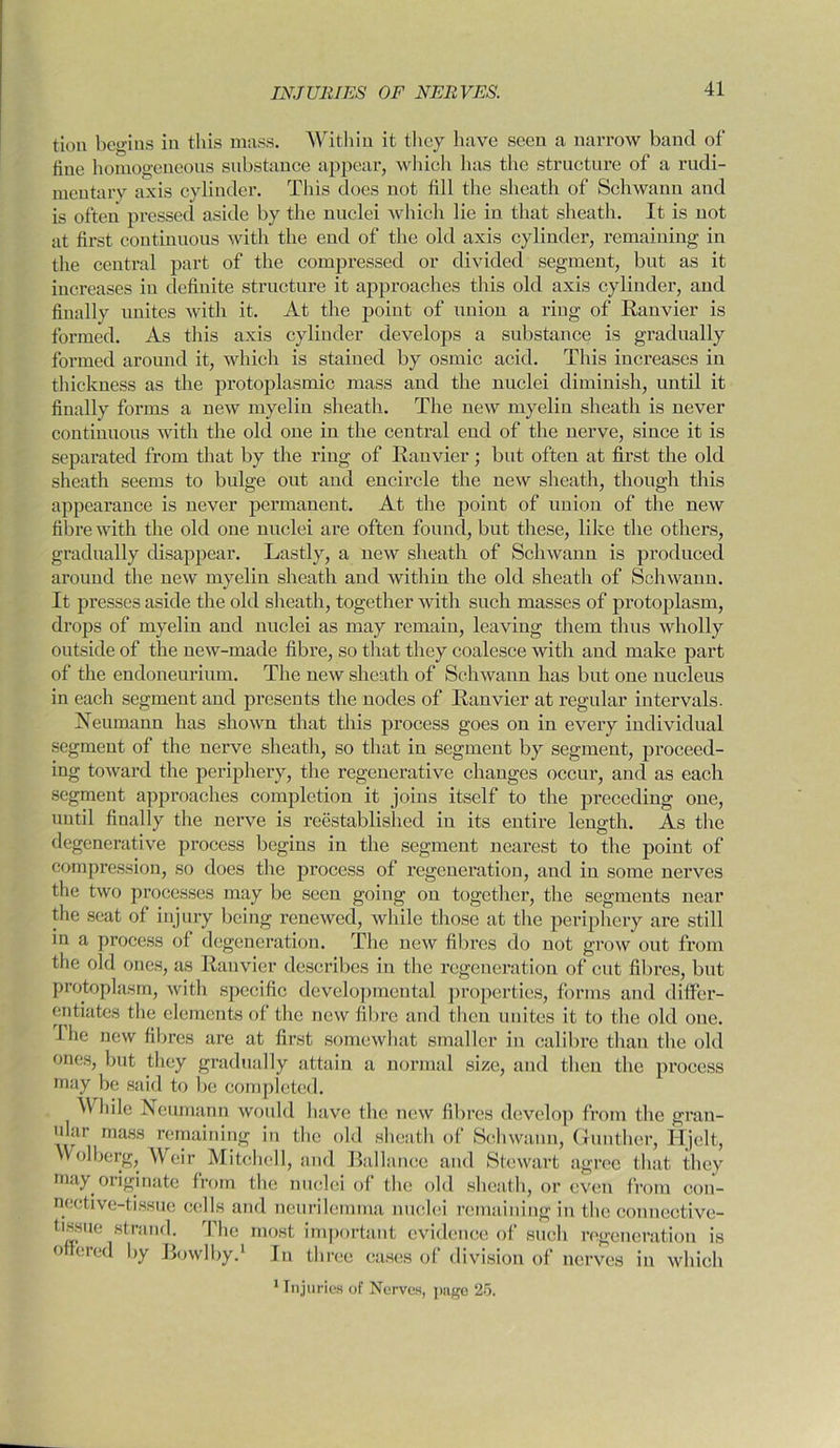 tioa begins in this mass. Within it they have seen a narrow band of fine homogeneous substance appear, which has the structure of a rudi- mentary axis cylinder. This does not till the sheath of Schwann and is often pressed aside by the nuclei which lie in that sheath. It is not at first continuous with the end of the old axis cylinder, remaining in the central part of the compressed or divided segment, but as it increases in definite structure it approaches this old axis cylinder, and finally unites with it. At the point of union a ring of Ranvier is formed. As this axis cylinder develops a substance is gradually formed around it, which is stained by osmic acid. This increases in thickness as the protoplasmic mass and the nuclei diminish, until it finally forms a new myelin sheath. The new myelin sheath is never continuous with the old one in the central end of the nerve, since it is separated from that by the ring of Ranvier; but often at first the old sheath seems to bulge out and encircle the new sheath, though this appearance is never permanent. At the point of union of the new fibre with the old one nuclei are often found, but these, like the others, gradually disappear. Lastly, a new sheath of Schwann is produced around the new myelin sheath and within the old sheath of Schwann. It presses aside the old sheath, together with such masses of protoplasm, drops of myelin and nuclei as may remain, leaving them thus wholly outside of the new-made fibre, so that they coalesce with and make part of the endoneurium. The new sheath of Schwann has but one nucleus in each segment and presents the nodes of Ranvier at regular intervals. Neumann has shown that this process goes on in every individual segment of the nerve sheath, so that in segment by segment, proceed- ing toward the periphery, the regenerative changes occur, and as each segment approaches completion it joins itself to the preceding one, until finally the nerve is reestablished in its entire length. As the degenerative process begins in the segment nearest to the point of compression, so does the process of regeneration, and in some nerves the two processes may be seen going on together, the segments near the seat of injury being renewed, while those at the periphery are still in a process of degeneration. The new fibres do not grow out from the old ones, as Ranvier describes in the regeneration of cut fibres, but protoplasm, with specific developmental properties, forms and differ- entiates the elements of the new fibre and then unites it to the old one. fhe new fibres are at first somewhat smaller in calibre than the old ones, but they gradually attain a normal size, and then the process may be said to be completed. While Neumann would have the new fibres develop from the gran- ular mass remaining in tbe old sheath of Schwann, Gunther, Hjelt, Wolberg, Weir Mitchell, and Ballance and Stewart agree that they may originate from the nuclei of the old sheath, or even from con- nective-tissue cells and neurilemma nuclei remaining in the connective- tissue strand. The most important evidence of such regeneration is offered by Bowlby.1 In three cases of division of nerves in which 1 Injuries of Nerves, page 25.