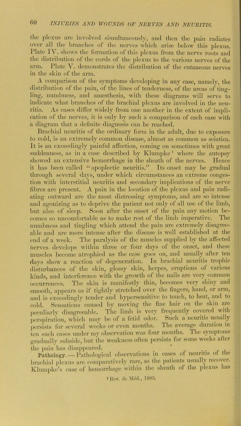 the plexus are involved simultaneously, and then the pain radiates over all the branches of the nerves which arise below this plexus. Plate IV. shows the formation of this plexus from the nerve roots and the distribution of the cords of the plexus to the various nerves of the arm. Plate V. demonstrates the distribution of the cutaneous nerves in the skin of the arm. A comparison of the symptoms developing in any case, namely, the distribution of the pain, of the lines of tenderness, of the areas of ting- ling, numbness, and anaesthesia, with these diagrams will serve to indicate what branches of the brachial plexus are involved in the neu- ritis. As cases differ widely from one another in the extent of impli- cation of the nerves, it is only by such a comparison of each case with a diagram that a definite diagnosis can be reached. Brachial neuritis of the ordinary form in the adult, due to exposure to cold, is au extremely common disease, almost as common as sciatica. It is an exceedingly painful affection, coming on sometimes with great suddenness, as in a case described by Klumpke 1 where the autopsy showed an extensive hemorrhage in the sheath of the nerves. Hence it has been called “apoplectic neuritis.” Its onset may be gradual through several days, under which circumstances an extreme conges- tion with interstitial neuritis and secondary implications of the nerve fibres are present. A pain in the location of the plexus and pain radi- ating outward are the most distressing symptoms, and are so intense and agoniziug as to deprive the patient not only of all use of the limb, but also of sleep. Soon after the onset of the pain any motion be- comes so uncomfortable as to make rest of the limb imperative. The numbness and tingling which attend the pain are extremely disagree- able and are more intense after the disease is well established at the end of a week. The paralysis of the muscles supplied by the affected nerves develops within three or four days of the onset, and these muscles become atrophied as the ca.se goes on, and usually after ten days show a reaction of degeneration. In brachial neuritis trophic disturbances of the skin, glossy skin, herpes, eruptions of various kinds, and interference with the growth of the nails are very common occurrences. The skin is manifestly thin, becomes very shiny and smooth, appears as if tightly stretched over the fingers, hand, or arm, and is exceedingly tender and hypersensitive to touch, to heat, and to cold. Sensations caused by moving the fine hair on the skin are peculiarly disagreeable. The limb is very frequently covered with perspiration, which may be of a fetid odor. Such a neuritis usually persists for several weeks or even months. I he average duration in ten such cases under my observation was four months. The symptoms gradually subside, but the weakness often persists for some weeks aftei persists ten gi the pain lias disappeared. . . Pathology. — Pathological observations in cases of neuritis of the brachial plexus are comparatively rare, as the patients usually recover. Klumpke’s case of hemorrhage within the sheath of the plexus has 1 Kt'V. tie Med., 1885.