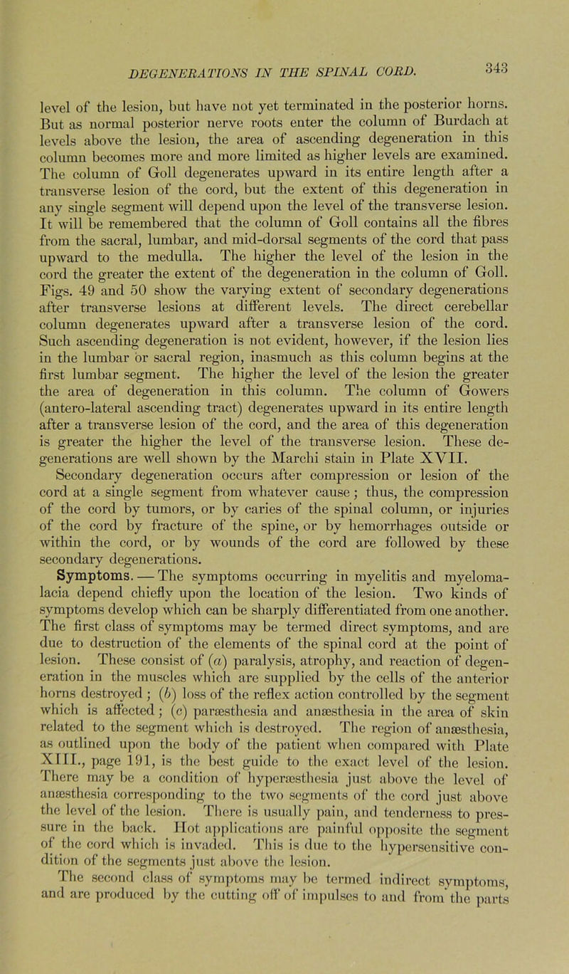 DEGENERATIONS IN THE SPINAL CORD. level of the lesion, but have not yet terminated in the posterior horns. But as normal posterior nerve roots enter the column of Burdach at levels above the lesion, the area of ascending degeneration in this column becomes more and more limited as higher levels are examined. The column of Goll degenerates upward iu its entire length after a transverse lesion of the cord, but the extent of this degeneration in any single segment will depend upon the level of the transverse lesion. It will be remembered that the column of Goll contains all the fibres from the sacral, lumbar, and mid-dorsal segments of the cord that pass upward to the medulla. The higher the level of the lesion in the cord the greater the extent of the degeneration in the column of Goll. Figs. 49 and 50 show the varying extent of secondary degenerations after transverse lesions at different levels. The direct cerebellar column degenerates upward after a transverse lesion of the cord. Such ascending degeneration is not evident, however, if the lesion lies in the lumbar or sacral region, inasmuch as this column begins at the first lumbar segment. The higher the level of the lesion the greater the area of degeneration in this column. The column of Gowers (antero-lateral ascending tract) degenerates upward in its entire length after a transverse lesion of the cord, and the area of this degeneration is greater the higher the level of the transverse lesion. These de- generations are well shown by the Marchi stain in Plate XVII. Secondary degeneration occurs after compression or lesion of the cord at a single segment from whatever cause; thus, the compression of the cord by tumors, or by caries of the spinal column, or injuries of the cord by fracture of the spine, or by hemorrhages outside or within the cord, or by wounds of the cord are followed by these secondary degenerations. Symptoms. — The symptoms occurring in myelitis and myeloma- lacia depend chiefly upon the location of the lesion. Two kinds of symptoms develop which can be sharply differentiated from one another. The first class of symptoms may be termed direct symptoms, and are due to destruction of the elements of the spinal cord at the point of lesion. These consist of (a) paralysis, atrophy, and reaction of degen- eration in the muscles which are supplied by the cells of the anterior horns destroyed ; (5) loss of the reflex action controlled by the segment which is affected; (c) parsesthesia and anaesthesia in the area of skin related to the segment which is destroyed. The region of anaesthesia, as outlined upon the body of the patient when compared with Plate XIII., page 191, is the best guide to the exact level of the lesion. There may be a condition of hyperaesthesia just above the level of anaesthesia corresponding to the two segments of the cord just above the level of the lesion. There is usually pain, and tenderness to pres- sure in the back. Hot applications are painful opposite the segment of the cord which is invaded. This is due to the hypersensitive con- dition of the segments just above the lesion. The second class of symptoms may be termed indirect symptoms, and are produced by the cutting off of impulses to and from the parts