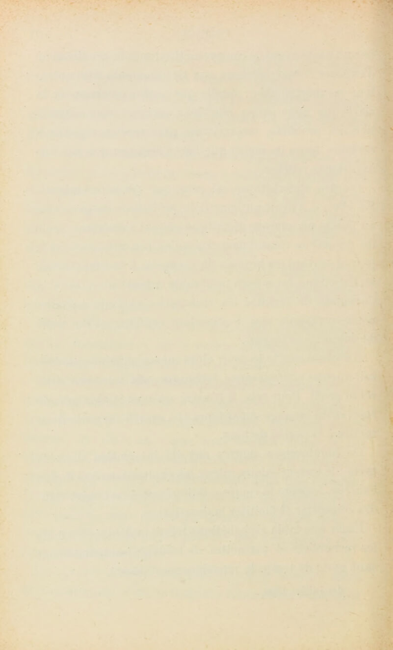 V r - w * - w MK r 1 ) '-üh< > ' T< •t • I % I » «i^lW. •y- «w •> •• -. '#r-'-’ ■f'i.:.