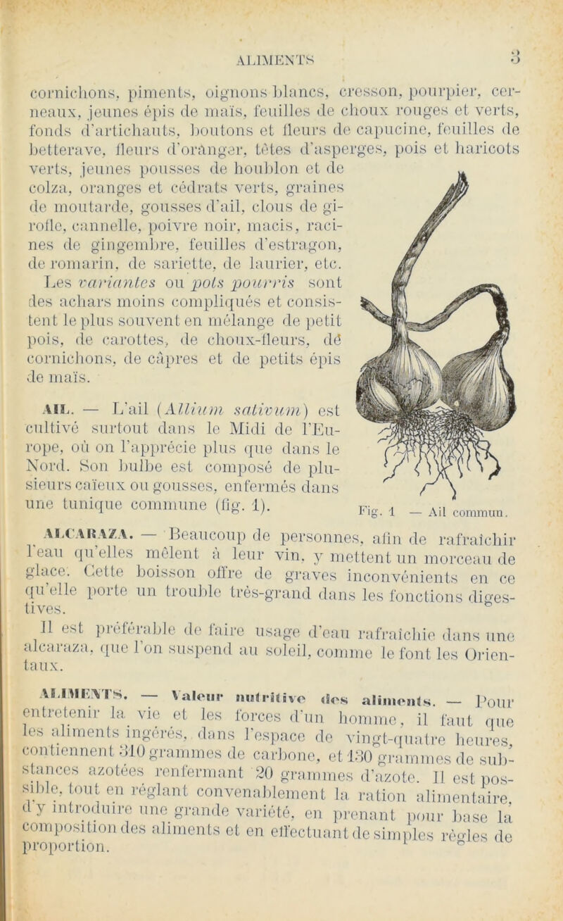 > ) coniiclions, piments, oignons l)l;incs, cresson, ponrpiei', cer- neaux, jeunes é})is do maïs, feuilles île choux rouges et verts, fonds (i'articliauts, doutons et tlours de ca})ucine, touilles de hetterave, Heurs il'oranger, tâtes d'asperges, })ois et haricots verts, jeunes pousses de houblon et de colza, oranges et cédrats verts, graines de moutai-ile, gousses d'ail, clous de gi- rolle, cannelle, poivre noir, macis, raci- nes de gingembre, feuilles d'estragon, de romarin, de sariette, de laurier, etc. Les varianLca ou poia pourris sont des achars moins compliqués et consis- tent le plus souvent on mélange de i)Otit })ois, (le (.‘arottes, de choux-tleurs, dd cornichons, de câpres et de petits épis de maïs. •Vlï.. — L'ail {Xllhnn saiiviun) est cultivé suidout dans le Midi do l'Lu- rope, oi'i on l’apprécie plus (jiie dans le Nord. Son bulbe est conq)osé de plu- sieurs caïeux ou gousses, enfermés dans une tunique commune (lig. 1). Fig. 1 — Ail commun. . -'ï'F'iF'Z.v. — lleaucniq) de personnes, alin de rafraîchir 1 eau (jii elles mêlent a leur vin, y mettent un morceau de glace. f<ette boisson otlre de gravf's inconvénients en ce ((Utile ()Oite un tiouhle très-gi'and dans les fonctions (li(^es- tives. 11 est ])référahle de faire usage d'eau rafraichie dans une alcaraza, ([ue l’on sus})end au s(deil. comme le font les Orien- taux. Al.nii:\TS. — Valom- luidüivo dos aliiuoids. — Pour entretenir la. vit; et les lorces d'un homme, il faut que les aliments ingérés, dans l’espace de vingUpiatre heures, contiennent MIO grammes do carbone, et loO grammes de sub- stances azotées renfermant 20 grammes d’azote. Il est iios- sihle, tout en i-églant convenablement la ration alimentaire d y introduire une grande variété, en prenant (loiir base la composition des aliments et en eifectiiant de simples rèn]cs de pro[)ortion. ^ '''