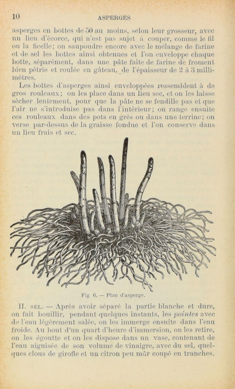 as])0i'o'ov; on hollos do r>() nu moins, solon lonr {^Tosseur, nvoc nn lien (récoi-co, (jiii n'osl ])ns sujet n conpei', comme le lil ou la licelle; on saupomlre encore avec le mélange do farine et de sel les l)ottes ainsi ohtenuos et l’on envolop|)0 clia(|ue hotte, séparément, dans une pâte faite de faiine de froment bien pétrie et roulée en gâteau, de l’épaisseur de 2 à M milli- mètres. Les hottes d’asperges ainsi envelo])j)ées ressemblent à de gros rouleaux; on les jdaco dans un lion soc, et on les laisse sécher lentement, ])our ([iio la ])Ate no se fendille j)as et que l’air ne s’introduise pas dans l’intérieur; on range ensuite ces rouleaux dans des ])ots en grés ou dans une terrine; on verse })ar-dessus do la graisse fondue et l’on conserve dans nn lien frais et sec. Eig (). — Plan d'asporfîo. 11. SKI,. — A])rés avoir sé))ar('‘ la partie hlautdie et dure, on fait houillii', })endant (piehpies instants, les avec d-' l'eau légèrement salée, on les immerge ensuite dans l'eau froide. Au bout (rnu (piaid d’henro d’immersion, on les retii’e. on les égoutte et on les dispose dans un vase, contenant do l'eau aiguisée de son volume de vinaigre, avec du sel. ([iiel- qnes clous de girolle et nn citron peu imir coupé en tranches.