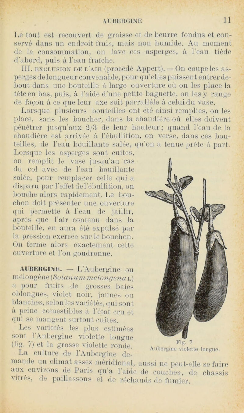 AÜBRIKJINE n liO toii( ost rocouvoli, de graisse et de ])eniTe. fondus et con- servé dans un endroit frais, niais non liuinide. Au nionient de la consoiumatioii. on lave ces asjierges, à Tcau tiède d’aliord, puis à l'eau fraiclie. 111. Excrx’siox DE l’air (procédé Appert). — On coupe les as- perges de longueur convenable, pour (pi’elles puissent entrer de- bout dans une bouteille à large ouverture où on les place la tète en bas, puis, à l’aide d’une petite liaguette, on les y range de façon à ce que leur axe soit parrallèle à celui du vase. Lorsque plusieurs bouteilles ont été ainsi renqilies, on les place, sans les liouclier, dans la chaudièi'e où elles doivent pénétrer jusqu’aux 2/8 de leur hauteur: quand l’eau de la chaudière est arrivée à ré])ulbtiou, on verse, dans ces J)ou- teilles, de l'eau ])Ouillante salée, ([u'on a tenue pivle à pari. TiOrs(pie les asperges sont cuites, on remplit le vase jus,ju’au ras du col avec de l’eau bouillante salée, pour l'enqilacer celle (]ui a disparu par l'elfet del’ébullition, on bouche aloi's ra{)idement. Le bou- clion doit présenter une ouverture (]ui permette à l'eau <le jaillir, après ([ue l’air contenu dans la bouteille, en aura été ex])ulsé par la ])ression (‘xercée sui-le bouchon. On ferme alors exactement cette ouvertiu’e et l’on goudronne. .M'iiMlM.lAi'X — IfAubergine ou mélongène(^'o/('D^^(fn^ melonçjonai.) a pour fruits de grosses baies oblongues, violet noir, jaunes ou blanches, selon les variétés, (pii sont a jieine comestibles à. l'état cru et (pii se mangent surtout cuites. Les variétés les jdus estimées sont l’Aubergine violette longue (lig. 7) et la grosse violette ronde. La culture de l’Aubergine de- mande un climat assez méridional, aussi ne peut-elle se faire aux environs de Paris (pi'a l'aide de couches, de châssis vitrés, de paillassons et de réchauds de fumier. .Vdljcrf^'ine violotto longue.