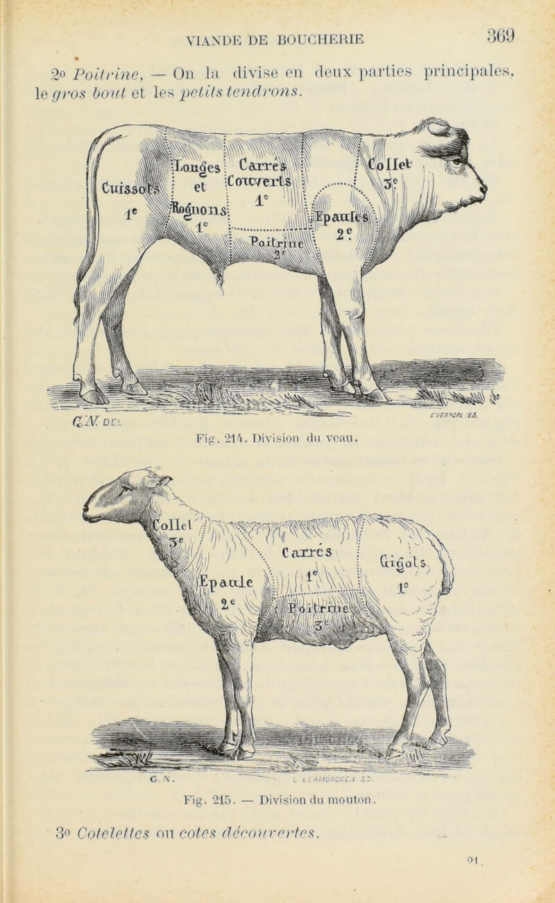 m Poitrine, — On la divise en deux parties principales, le.r/no.s boiU et peiil^itcncl.rons. Fip:. 21'i. Division du veau. c vcnicm rA CM DCI Fig. 215. — Division du mouton. S'' Coletellcs on co/c.s flécourortoR.