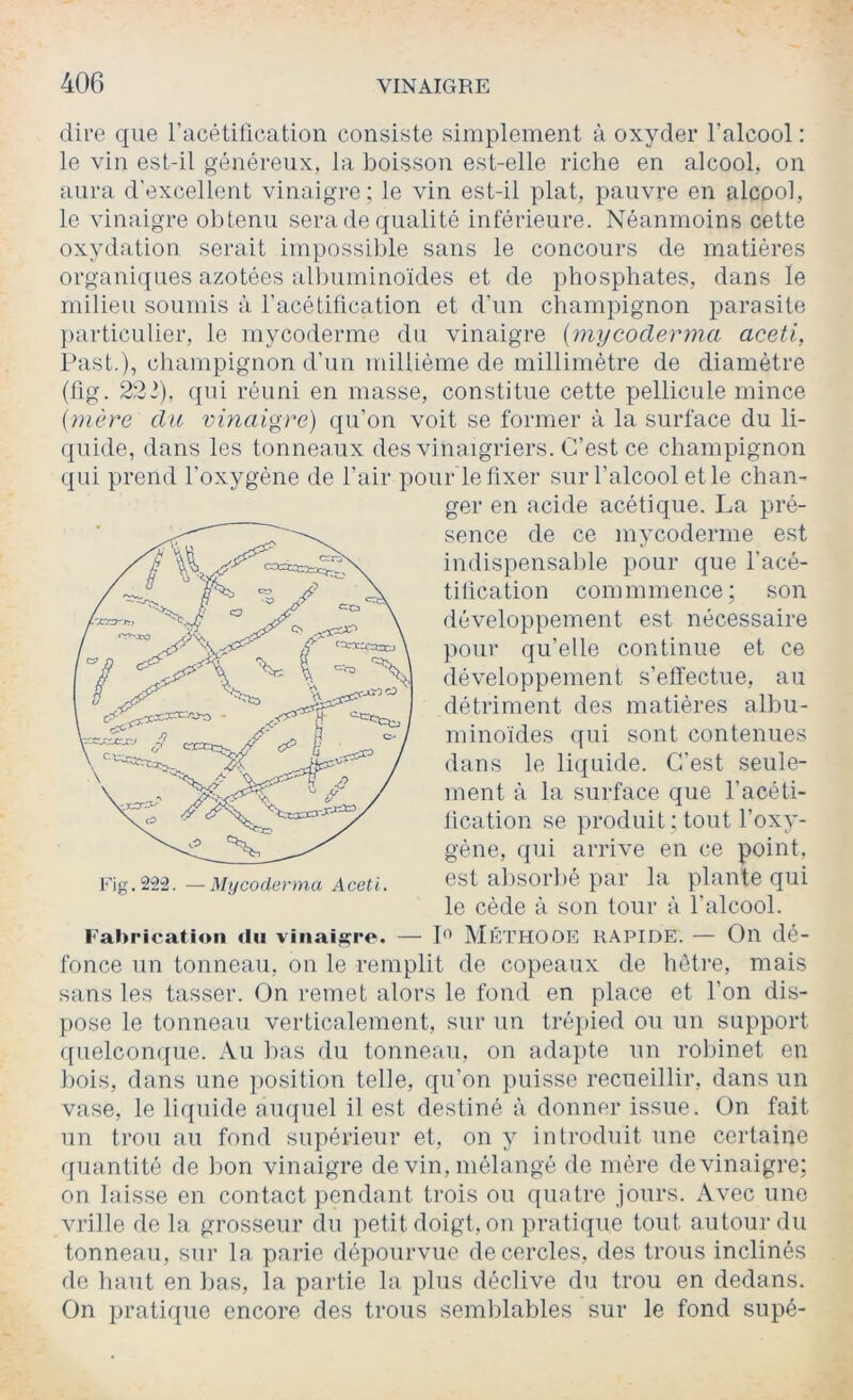 dire que l’cicétilication consiste simplement à oxyder l’alcool : le vin est-il généreux, la boisson est-elle riche en alcool, on aura d’excellent vinaigre ; le vin est-il plat, pauvre en alcool, le vinaigre obtenu sera de qualité inférieure. Néanmoins cette oxydation serait impossible sans le concours de matières organiques azotées all)uminoïdes et de i)hospliates, dans le milieu soumis à l’acétification et d’un champignon parasite ])articLilier, le mycoderme du vinaigre {mycoderma aceti, Past.), champignon d’un millième de millimètre de diamètre (tig. 222), qui réuni en masse, constitue cette pellicule mince (mère du vinaigre) qu’on voit se former à la surface du li- quide, dans les tonneaux des vinaigriers. C’est ce champignon qui prend l’oxygène de l’air pour le fixer sur l’alcool elle chan- ger en acide acétique. La pré- sence de ce mycoderme est indispensalile pour que l’acé- titication commmence; son développement est nécessaire pour qu’elle continue et ce développement s’etïectue, au détriment des matières allm- minoides qui sont contenues dans le liquide. C’est seule- ment à la surface que l’acéti- lication se produit; tout l’oxy- gène, qui arrive en ce point, est absorbé par la plante qui le cède à son tour à l’alcool, r'abrication <lii vinaisi‘<*- — L MÉTHODE R.\PIDE. — On dé- fonce un tonneau, on le remplit de copeaux de hêtre, mais sans les tasser. On remet alors le fond en place et l’on dis- pose le tonneau verticalement, sur un tréi»ied ou un support ([uelcon(|ue. Au l)as du tonneau, on adapte un roliinet en bois, dans une position telle, qu’on puisse recueillir, dans un vase, le liquide auquel il est destiné à donner issue. On fait un trou au fond supérieur et, on y introduit une certaine quantité de bon vinaigre de vin, mélangé de mère de vinaigre; on laisse en contact pendant trois ou quatre jours. Avec une vrille de la grosseur du petit doigt, on pratique tout autour du tonneau, sur la parie dépourvue de cercles, des trous inclinés de liant en bas, la partie la plus déclive du trou en dedans. On pratique encore des trous semblables sur le fond supé-