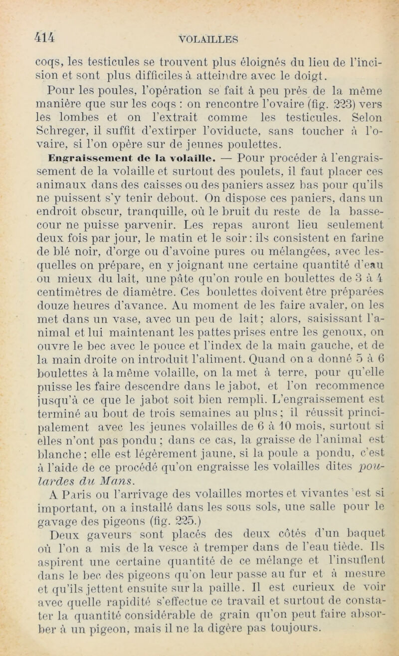 coqs, les testicules se trouvent plus éloignés du lieu de l’inci- sion et sont plus difficiles à atteindre avec le doigt. Pour les poules, l’opération se fait à peu prés de la même manière que sur les coqs : on rencontre l’ovaire (fig. 223) vers les lombes et on l’extrait comme les testicules. Selon Schreger, il suffit d’extirper l’oviducte, sans toucher à l’o- vaire, si l’on opère sur de jeunes poulettes. Engraisseineiit de la volaille. — Pour procéder à l'engrais- sement de la volaille et surtout des poulets, il faut placer ces animaux dans des caisses ou des paniers assez bas pour qu’ils ne puissent s'y tenir debout. On dispose ces paniers, dans un endroit obscur, tranquille, où le bruit du reste de la basse- cour ne puisse parvenir. Les repas auront lieu seulement deux fois par jour, le matin et le soir: ils consistent en farine de blé noir, d’orge ou d’avoine pures ou mélangées, avec les- quelles on prépare, en y joignant une certaine quantité d’eau ou mieux du lait, une pâte qu’on roule en boulettes de 3 à 4 centimètres de diamètre. Ces boulettes doivent être préparées douze heures d’avance. Au moment de les faire avaler, on les met dans un vase, avec un peu de lait; alors, saisissant l’a- nimal et lui maintenant les pattes prises entre les genoux, on ouvre le bec avec le pouce et l'index de la main gauche, et de la main droite on introduit l’aliment. Quand on a donné 5 à 6 boulettes à la même volaille, on la met à. terre, pour qu’elle puisse les faire descendre dans le jabot, et l’on recommence jusqu’à ce que le jabot soit bien rempli. L’engraissement est terminé au bout de trois semaines au plus; il réussit princi- palement avec les jeunes volailles de 6 à 10 mois, surtout si elles n’ont pas pondu ; dans ce cas, la graisse de l’animal est blanche: elle est légèrement jaune, si la poule a pondu, c’est à l’aide de ce procédé qu’on engraisse les volailles dites pou- lardes du Mans. A Paris ou l’arrivage des volailles mortes et vivantes''est si important, on a installé dans les sous sols, nue salle pour le gavage des pigeons (lig. 225.) Deux gaveurs sont placés des deux côtés d'un l)aquet où l’on a mis de la vesce à tremper dans de l’eau tiède. Ils aspirent une certaine quantité de ce mélange et l’insullent dans le bec des pigeons (pi'on leur passe au fur et à mcsiu'e et qu’ils jettent ensuite sur la paille. 11 est curieux de voir avec (juelle rapi<lité s'elTectue ce travail et surtout de consta- ter la quantité considérable de grain qu’on peut faire absor- ber à un pigeon, mais il ne la digère pas toujours.
