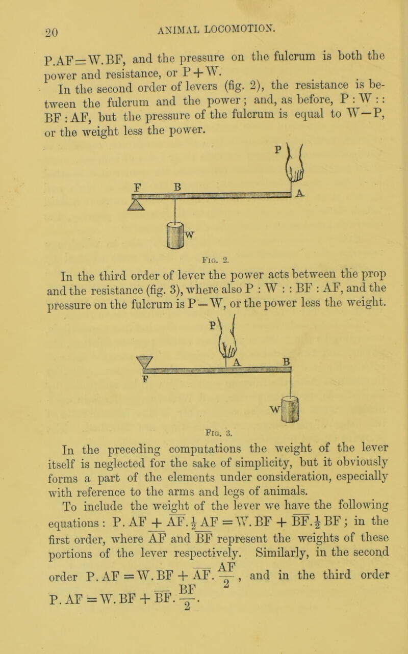 P.AF = W.BF, and the pressure on the fulcrum is both the power and resistance, or P + W. In the second order of levers (fig. 2), the resistance is be- tween the fulcrum and the power; and, as before, P : W :: BF : AF, but the pressure of the fulcrum is equal to P, or the weight less the power. Fig. 2. In the third order of lever the power acts between the prop and the resistance (fig. 3), where also P : W : : BF : AF, and the pressure on the fulcrum is P—W, or the power less the weight. Fig. 3. In the preceding computations the weight of the lever itself is neglected for the sake of simplicity, but it obviously forms a part of the elements under consideration, especially with reference to the arms and legs of animals. To include the weight of the lever v^e have the folloiving equations: P. AF AJ.i_AF ==Vv. BF + BF.| BF ; in the first order, where AF and BF represent the weights of these portions of the lever respectively. Similarly, in the second order P. AF = W. BF-f AF. — , and in the third order