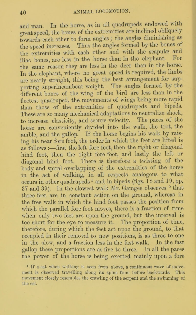 and man. In the horse, as in all quadrupeds endowed with great speed, the bones of the extremities are inclined obliquely towards each other to form angles j the angles diminishing as the speed increases. Thus the angles formed by the bones of the extremities with each other and with the scapul® and iliac bones, are less in the horse than in the elephant. For the same reason they are less in the deer than in the horse. In the elephant, where no great speed is required, the limbs are nearly straight, this being the best arrangement for sup- porting superincumbent weight. The angles fonned by the different bones of the wing of the bird are less than in the fleetest quadruped, the movements of wings being more rapid than those of the extremities of quadrupeds and bipeds. These are so many mechanical adaptations to neutralize shock, to increase elasticity, and secure velocity. The paces of the horse are conveniently divided into the walk, the trot, the amble, and the gallop. If the horse begins his walk by rais- ing his near fore foot, the order in which the feet are lifted is as follows :—first the left fore foot, then the right or diagonal hind foot, then the right fore foot, and lastly the left or diagonal hind foot. There is therefore a twisting of the body and spiral overlapping of the extremities of the horse in the act of walking, in all respects analogous to what occurs in other quadrupeds ^ and in bipeds (figs. 18 and 19, pp. 37 and 39). In the slowest walk Mr. Gamgee observes “ that three feet are in constant action on the ground, whereas in the free walk in which the hind foot passes the position from which the parallel fore foot moves, there is a fraction of time when only two feet are upon the ground, but the interval is too short for the eye to measure it. The proportion of time, therefore, during which the feet act upon the ground, to that occupied in their removal to new positions, is as three to one in the slow, and a fraction less in the fast walk. In the fast gallop these proportions are as fi^^e to three. In all the paces the power of the horse is being exerted mainly upon a fore Mf a cat when walking is seen from ahove, a continuous wave of move- ment is obseiwed travelling along its spine from before backwards. This movement closely resembles the crawling of the serpent and the swimming of the eel.