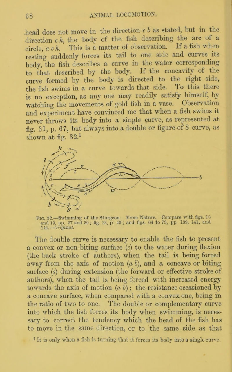 head does not move in the direction cb a.s stated, hut in the direction c h, the body of the fish describing the arc of a circle, a c k This is a matter of observation. If a fish when resting suddenly forces its tail to one side and curves its body,*the fish describes a curve in the water corresponding to that described by the body. If the concavity of the curve formed by the body is directed to the right side, the fish swims in a curve tow’ards that side. To this there is no exception, as any one may readily satisfy himself, by watching the movements of gold fish in a vase. Observation and experiment have convinced me that when a fish swims it never throws its body into a single curve, as represented at fig. 31, p. 67, but always into a double or figure-of-8 curve, as shoAvn at fig. 32.^ H4.—Original. The double curve is necessary to enable the fish to present a convex or non-biting surface (c) to the water during flexion (the back stroke of authors), when the tail is being forced away from the axis of motion {a b), and a concave or biting surface (s) during extension (the forAvard or effective stroke of authors), Avhen the tail is being forced Avith increased energy tOAvards the axis of motion (a b); the resistance occasioned by a concave surface, Avhen compared Avith a convex one, being in the ratio of tAvo to one. The double or complementary curve into Avhich the fish forces its body Avhen SAvimming, is neces- sary to correct the tendency which the head of the fish has to move in the same direction, or to the same side as that ^ It is only when a fish is turning that it forces its body into a single curve.