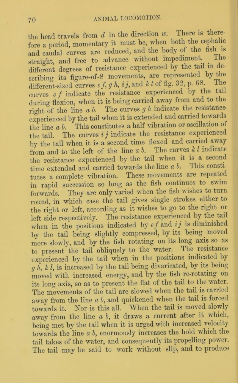 the head travels from d in the direction w. There is there- fore a period, momentary it must be, when both the ceplialic and caudal curves are reduced, and the body of the nsh is straight, and free to advance without impediment _ ihe different degrees of resistance experienced by the tail in de- scribing its figure-of-8 movements, are represented by the different-sized curves ef,g h, ij, and k I of fig. 32, p. 68. The curves e / indicate the resistance experienced by the tail during flexion, when it is being carried away from and to the riht of the line a h. The curves g h indicate the resistance experienced by the tail when it is extended and carried towards tiie line a b. This constitutes a half vibration or oscillation of the tail. The curves i j indicate the resistance experienced liy the tail Avhen it is a second time flexed and carried away from and to the left of the line a b. The curves_^ I indicate the resistance experienced by the tail when it is a second time extended and carried towards the line a b. This consti- tutes a complete vibration. These movements are repeated in rapid succession so long as the fish continues to swim forwards. They are only varied when the fish wishes to turn round, in which case the tail gives single strokes either to the right or left, according as it wishes to go to the right or left side respectively. The resistance experienced by the tail when in the positions indicated by e/ and ij is diminished by the tail being slightly compressed, by its being ^ moved more slowly, and liy the fish rotating on its long axis so as to present the tail obliquely to the water. The resistance experienced by the tail when in the positions indicated by gh,k I, is increased by the tail being divaricated, by its being moved with increased energy, and by the fish re-rotating on its long axis, so as to present the flat of the tail to the water. The movements of the tail are slowed when the tail is carried away from the line a b, and quickened when the tail is forced towards it. Nor is this all. When the tail is moved slowly away from the line a b, it draws a current after it which, being met by the tail when it is urged with increased velocity towards the line a b, enormously increases the hold which the tail takes of the water, and consequently its propelling power. The tail may be said to work without slip, and to produce