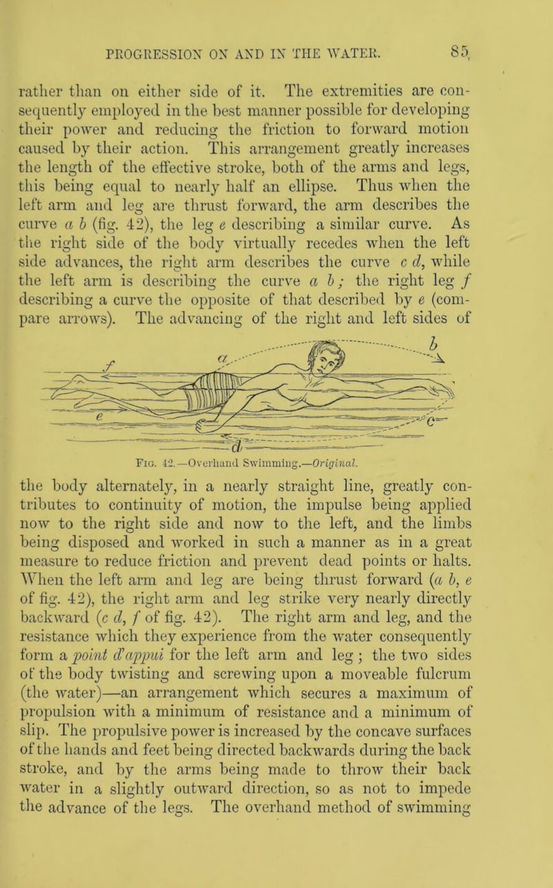rather than on either side of it. The extremities are con- sequently employed in the best manner possible for developing their power and reducing the friction to forward motion caused by their action. This arrangement greatly increases the length of the effective stroke, both of the arms and legs, this being equal to nearly half an ellipse. Thus when the left arm and leg are thrust forward, the arm describes the curve a h (fig. 42), the leg e describing a similar curve. As the right side of the body virtually recedes when the left side advances, the right arm describes the curve c d, while the left arm is describing the curve ah; the right leg / describing a curve the opposite of that described by e (com- pare arrows). The advancing of the right and left sides of the body alternately, in a nearly straight line, greatly con- tributes to continuity of motion, the impulse being applied now to the right side and now to the left, and the limbs being disposed and Avorked in such a manner as in a great measure to reduce friction and prevent dead points or halts. When the left arm and leg are being thrust forward (a h, e of fig. 42), the right arm and leg strike very nearly directly backward (c cl, f of fig. 42). The right arm and leg, and the resistance which they experience from the Avater consequently form a point d'appui for the left arm and leg ; the tAvo sides of the body twisting and screAving upon a moveable fulcrum (the Avater)—an arrangement Avhich secures a maximum of propulsion Avith a minimum of resistance and a minimum of slip. The propulsive poAver is increased by the concave surfaces of the hands and feet being directed backAvards during the back stroke, and by the arms being made to throAv their back Avater in a slightly outAvard direction, so as not to impede the advance of the legs. The overhand method of sAvimming