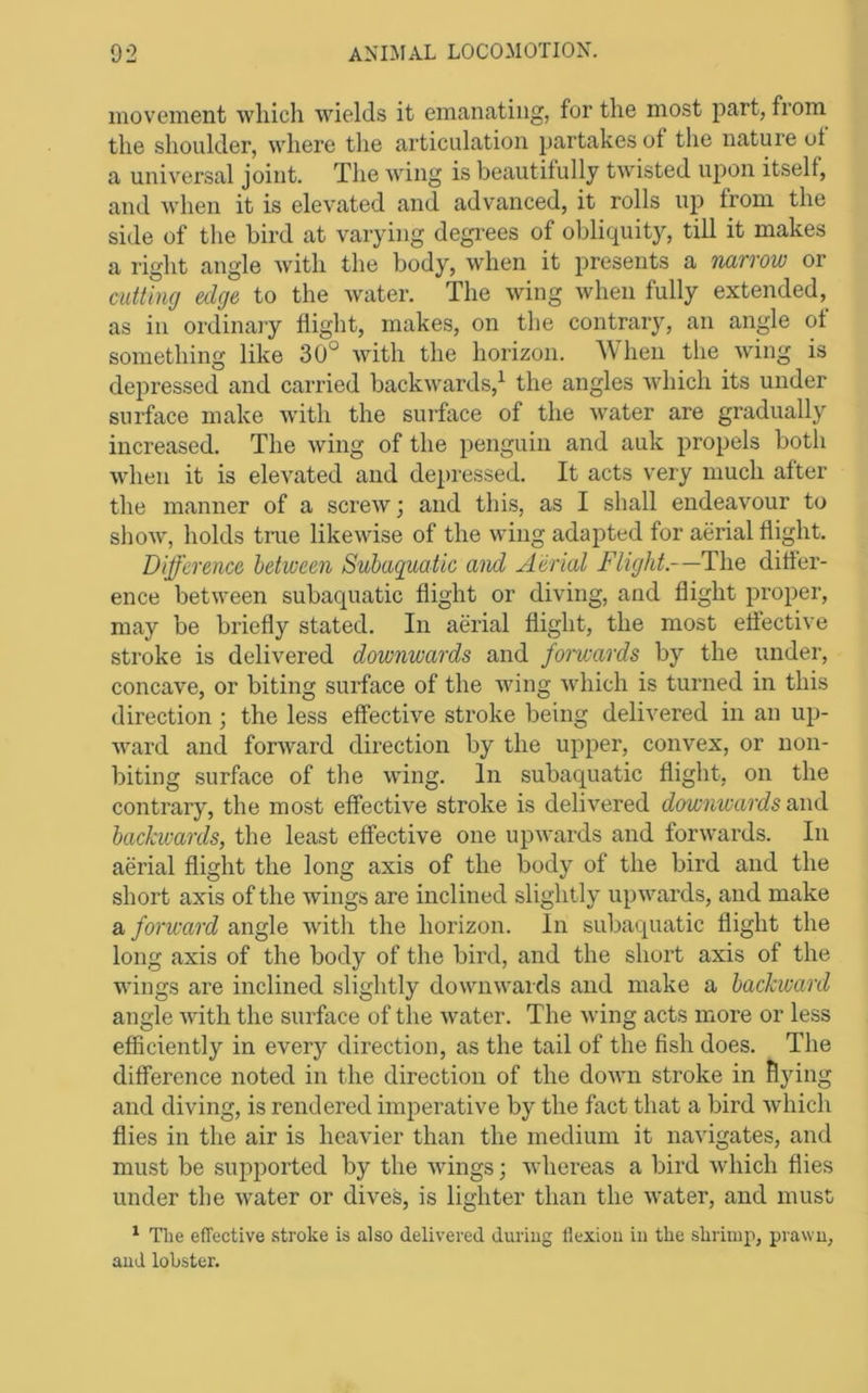 movement wliicli wields it emanating, for the most part, from the shoulder, where the articulation partakes of the nature ot a universal joint. The wing is beautifully twisted upon itself, and when it is elevated and advanced, it rolls up from the side of the bird at varying degrees of obliquity, till it makes a right angle with the body, when it presents a narrow or cutting edge to the water. The wing when fully extended,^ as in ordinm-y flight, makes, on the contrary, an angle of something like 30° with the horizon. A\Tien the wing is depressed and carried backwards,^ the angles which its under surface make with the surface of the water are gradually increased. The wing of the penguin and auk propels both when it is elevated and de[)ressed. It acts very much after the manner of a screw; and this, as I shall endeavour to show, holds true likewise of the wing adapted for aerial flight. Difference between Subaquatic and Aerial Flight.—The differ- ence between subaquatic flight or diving, and flight proper, may be briefly stated. In aerial flight, the most effective stroke is delivered downwards and forwards by the under, concave, or biting surface of the wing which is turned in this direction ; the less effective stroke being delivered in an up- Avard and forAvard direction by the upper, convex, or non- biting surface of the AAung. In subaquatic flight, on the contrary, the most effective stroke is delivered downwards and backwards, the least effective one upAvards and forAvards. In aerial flight the long axis of the body of the bird and the short axis of the Avings are inclined slightly upAvards, and make a forward angle Avith the horizon. In subaquatic flight the long axis of the body of the bird, and the short axis of the wings are inclined slightly doAvuwards and make a backward angle AAuth the surface of the Avater. The Aving acts more or less efficiently in every direction, as the tail of the fish does. The difference noted in the direction of the doAvn stroke in flying and diving, is rendered imperative by the fact that a bird Avhich flies in the air is heavier than the medium it naAugates, and must be supported by the Avings; Avhereas a bird Avhich flies under the Avater or dives, is lighter than the Avater, and must ^ The effective stroke is also delivered during flexion in the shrimp, prawn, and lobster.