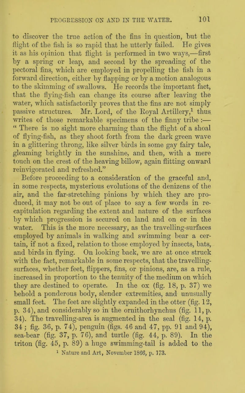 to discover the true action of the fins in question, but the flight of the fish is so rapid that he utterly failed. He gives it as his opinion that flight is performed in two ways,—first by a spring or leap, and second by the spreading of the pectoral fins, which are employed in propelling the fish in a forward direction, either by flapping or by a motion analogous to the skimming of swallows. He records the important fact, that the flying-fish can change its course after leaving the water, which satisfactorily proves that the fins are not simply passive structures. Mr. Lord, of the Koyal Artillery,^ thus writes of those remarkable specimens of the finny tribe :— “ There is no sight more charming than the flight of a shoal of flying-fish, as they shoot forth from the dark green wave in a glittering throng, like silver birds in some gay fairy tale, gleaming brightly in the sunshine, and then, with a mere touch on the crest of the heaving billow, again flitting onward reimdgorated and refreshed.” Before proceeding to a consideration of the graceful and, in some respects, mysterious evolutions of the denizens of the air, and the far-stretching pinions by which they are pro- duced, it may not be out of place to say a few words in re- capitulation regarding the extent and nature of the surfaces by which progression is secured on land and on or in the water. This is the more necessary, as the travelling-surfaces employed by animals in walking and swimming bear a cer- tain, if not a fixed, relation to those employed by insects, bats, and birds in flying. On looking back, we are at once struck ■with the fact, remarkable in some respects, that the travelling- surfaces, whether feet, flippers, fins, or pinions, are, as a rule, increased in proportion to the tenuity of the medium on which they are destined to operate. In the ox (fig. 18, p. 37) we behold a ponderous body, slender extremities, and unusually small feet. The feet are slightly expanded in the otter (fig. 12, p. 34), and considerably so in the ornithorhynchus (fig. 11, p. 34). The travelling-area is augmented in the seal (fig. 14, p. 34; fig. 36, p. 74), penguin (figs. 46 and 47, pp. 91 and 94), sea-bear (fig. 37, p. 76), and turtle (fig. 44, p. 89). In the triton (fig. 45, p. 89) a huge swimming-tail is added to the 1 Nature and Art, November 1866, p. 173.