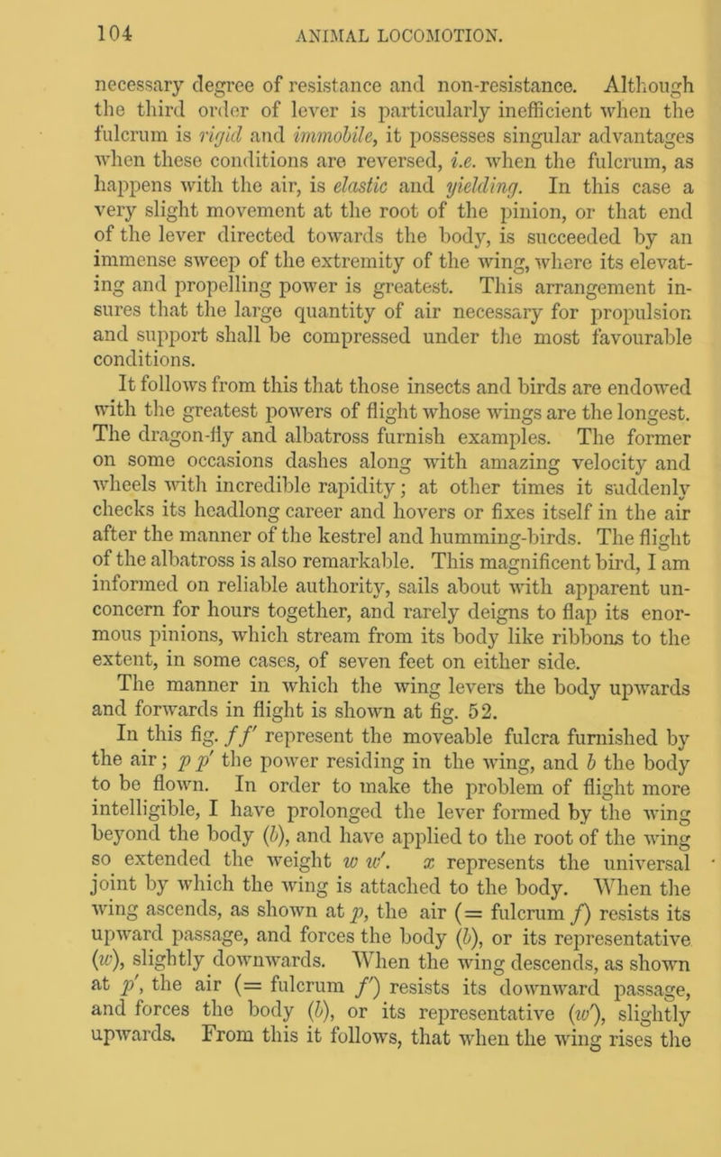 necessary degree of resistance and non-resistance. Although the third order of lever is i:>articularly inefficient when the fulcrum is rigid and inmiobile, it possesses singular advantages when these conditions are reversed, i.e. when the fulcrum, as happens with the air, is elastic and yielding. In this case a very slight movement at the root of the pinion, or that end of the lever directed towards the body, is succeeded by an immense sweej) of the extremity of the Aving, Avhere its elevat- ing and propelling power is greatest. This arrangement in- sures that the large quantity of air necessary for propulsion and support shall be compressed under the most favourable conditions. It folloAvs from this that those insects and birds are endowed with the greatest poAvers of flight Avhose Avings are the longest. The dragon-fly and albatross furnish examples. The former on some occasions dashes along with amazing velocity and Avheels AAdth incredible rapidity; at other times it suddenly checks its headlong career and hovers or fixes itself in the air after the manner of the kestrel and humming-birds. The flight of the albatross is also remarkable. This magnificent bird, I am informed on reliable authority, sails about Avitli apparent un- concern for hours together, and rarely deigns to flap its enor- mous pinions, Avhich stream from its body like ribbons to the extent, in some cases, of seven feet on either side. The manner in Avhich the wing leA^ers the body upAvards and forAA’ards in flight is shoAAm at fig. 52. In this fig. f f represent the moveable fulcra furnished by the air; p p' the poAver residing in the AAung, and h the body to be floAvn, In order to make the problem of flight more intelligible, I have prolonged the leA’er formed by the Aving beyond the body (h), and have applied to the root of the AAung so extended the aveight w iv'. x represents the uniA^ersal joint by Avhich the Aving is attached to the body. When the Aving ascends, as shoAvn at^, the air (= fulcrum/) resists its upAA^ard passage, and forces the body (h), or its representative {w), slightly doAvnAvards. When the wing descends, as shown at p', the air (= fulcrum f) resists its doA\mAAard passage, and forces the body (t), or its representative {lo'), slightly upAvards. From this it folloAvs, that when the Aving rises the