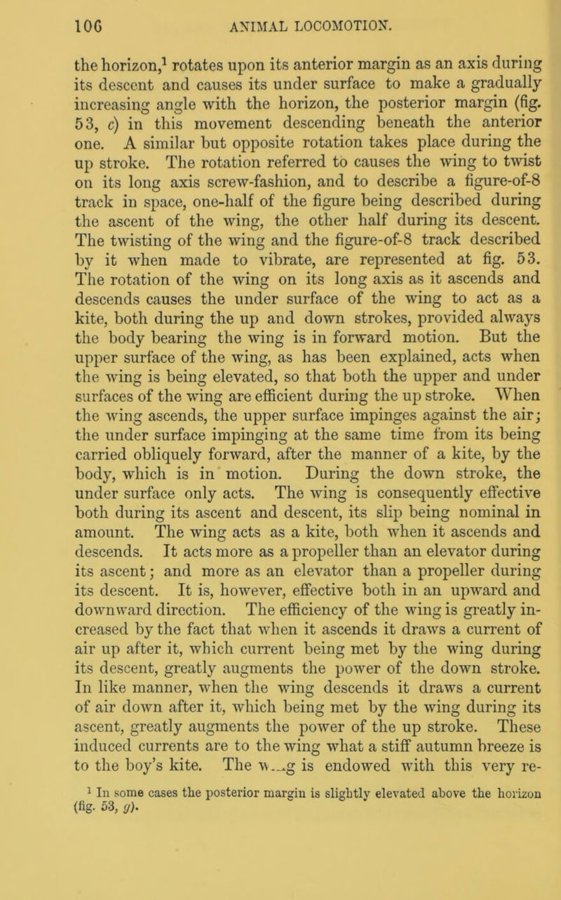 the horizon,^ rotates upon its anterior margin as an axis during its descent and causes its under surface to make a gradually increasing angle with the horizon, the posterior margin (fig. 53, c) in this movement deseending beneath the anterior one. A similar but opposite rotation takes place during the up stroke. The rotation referred to causes the wing to twist on its long axis screw-fashion, and to describe a figure-of-8 track in space, one-half of the figure being described during the ascent of the wing, the other half during its descent. The twisting of the wing and the figure-of-8 track described by it when made to vibrate, are represented at fig. 53. The rotation of the wing on its long axis as it ascends and descends causes the under surface of the wing to act as a kite, both during the up and down strokes, provided always the body bearing the wing is in forward motion. But the upper surface of the wing, as has been explained, acts when the wing is being elevated, so that both the upper and under surfaces of the wing are efficient during the up stroke. When the wing ascends, the upper surface impinges against the air; the under surface impinging at the same time from its being carried obliquely forward, after the manner of a kite, by the body, which is in'motion. During the down stroke, the under surface only acts. The wing is consequently effective both during its ascent and descent, its slip being nominal in amount. The wing acts as a kite, both when it ascends and descends. It acts more as a propeller than an elevator during its ascent; and more as an elevator than a propeller during its descent. It is, however, effective both in an upward and downward direction. The efficiency of the wing is greatly in- creased by the fact that when it ascends it draws a current of air up after it, which current being met by the wing during its descent, greatly augments the power of the down stroke. In like manner, when the wing descends it draws a current of air down after it, which being met by the wing during its ascent, greatly augments the power of the up stroke. These induced currents are to the wing what a stiff autumn breeze is to the boy’s kite. The \v._.g is endowed with this very re- ^ In some cases the posterior margin is slightly elevated above the horizon (fig. 53, g).