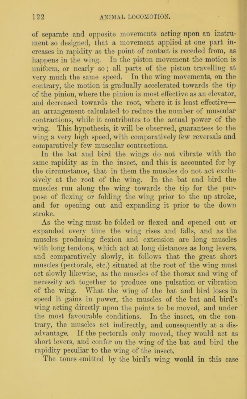 of separate and opposite movements acting upon an instm- ment so designed, that a movement applied at one j^art in- creases in rapidity as the point of contact is receded from, as happens in the Aving. In the piston movement the motion is uniform, or nearly so; all parts of the piston travelling at very much the same speed. In the wing movements, on the contrary, the motion is gradually accelerated towards the tip of the pinion, vdiere the pinion is most effective as an elevator, and decreased towards the root, Avhere it is least effective— an arrangement calculated to reduce the number of muscular contractions, while it contributes to the actual poAver of the Aving. This hypothesis, it Avill be observed, guarantees to the Aving a very high speed, Avith comparatively few reversals and comparatively feAv muscular contractions. In the bat and bird the Avings do not vibrate Avith the same rapidity as in the insect, and this is accounted for by the circumstance, that in them the muscles do not act exclu- sively at the root of the Aving. In the bat and bird the muscles run along the AAung toAvards the tip for the pur- pose of flexing or folding the wing prior to the up stroke, and for opening out and expanding it prior to the down stroke. As the Aving must be folded or flexed and opened out or expanded every time the Aving rises and falls, and as the muscles producing flexion and extension are long muscles Avith long tendons, Avhich act at long distances as long levers, and comparatively sloAvly, it folloAvs that the great short muscles (pectorals, etc.) situated at the root of the Avdng must act sloAAdy likeAvise, as the muscles of the thorax and Aving of necessity act together to produce one pulsation or A'ibration of the Aving. What the Aving of the bat and bird loses in speed it gains in poAver, the muscles of the bat and bird’s Aving acting directly upon the points to be moved, and under the most favourable conditions. In the insect, on the con- trary, the muscles act indirectly, and consequently at a dis- advantage. If the pectorals only moved, they Avould act as short levers, and confer on the Aving of the bat and bird the rapidity peculiar to the Aving of the insect. The tones emitted by the bird’s Aving Avould in this case