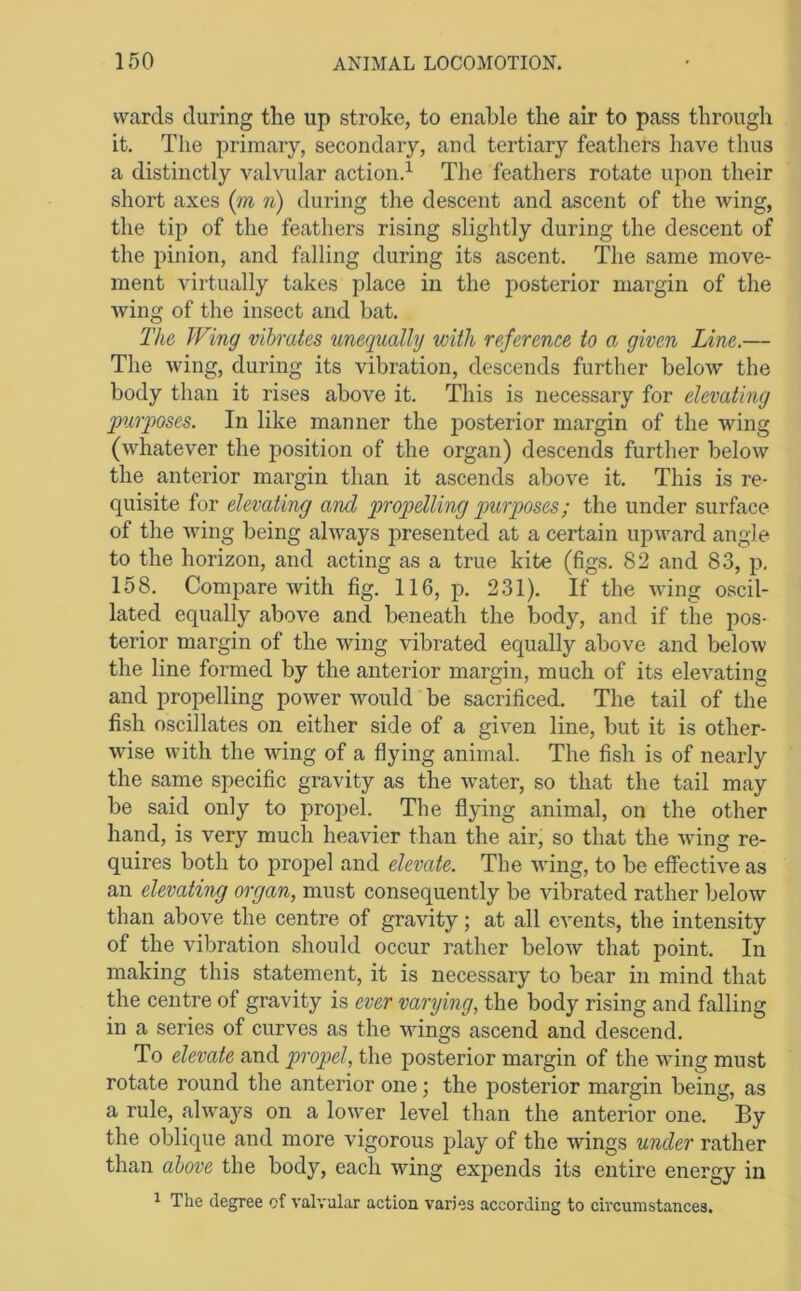 wards during the up stroke, to enable the air to pass through it. The primary, secondary, and tertiary feathers have thus a distinctly valvular action.^ The feathers rotate upon their short axes (m n) during the descent and ascent of the wing, the tip of the feathers rising slightly during the descent of the pinion, and falling during its ascent. The same move- ment virtually takes place in the posterior margin of the wing of the insect and bat. The Wing vibrates unequally with reference to a given Line.— The wing, during its vibration, descends further beloAV the body than it rises above it. This is necessary for elevating pirposes. In like manner the jiosterior margin of the wing (whatever the position of the organ) descends further below the anterior margin than it ascends above it. This is re- quisite for elevating and propelling qmrposes; the under surface of the wing being always presented at a certain upward angle to the horizon, and acting as a true kite (figs. 82 and 83, p, 158. Compare with fig. 116, p. 231). If the wing oscil- lated equally above and beneath the body, and if the pos- terior margin of the wing vibrated equally above and below the line formed by the anterior margin, much of its elevating and propelling power would be sacrificed. The tail of the fish oscillates on either side of a given line, but it is other- wise with the wing of a flying animal. The fish is of nearly the same specific gravity as the water, so that the tail may be said only to propel. The flying animal, on the other hand, is very much heavier than the air, so that the wing re- quires both to propel and elevate. The wing, to be effective as an elevating organ, must consequently be vibrated rather below than above the centre of gravity; at all events, the intensity of the vibration should occur rather below that point. In making this statement, it is necessary to bear in mind that the centre of gravity is ever varying, the body rising and falling in a series of curves as the wings ascend and descend. To elevate and propel, the posterior margin of the wing must rotate round the anterior one; the posterior margin being, as a rule, always on a lower level than the anterior one. By the oblique and more vigorous play of the wings under rather than above the body, each wing expends its entire energy in ^ The degree of valvular action varies according to circumstances.