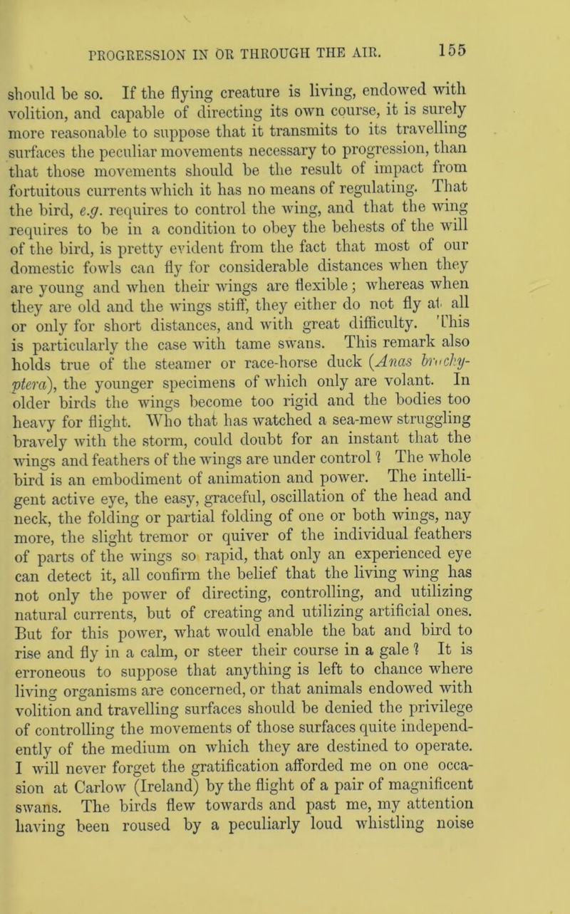 should be so. If the flying creature is living, endowed with volition, and capable of directing its own course, it is surely more reasonable to suppose that it transmits to its travelling surflices the peculiar movements necessary to progression, than that those movements should be the result of impact from fortuitous cuiTents which it has no means of regulating. That the bird, e.g. requires to control the wing, and that the wing requires to be in a condition to obey the behests of the will of the bird, is pretty evident from the fact that most of our domestic fowls can fly for considerable distances when they are young and when their Avings are flexible; whereas when they are old and the wings stiff, they either do not fly at all or only for short distances, and with great difficulty. this is particularly the case Avith tame sAvans. This remark also holds true of the steamer or race-horse duck {Anas bruchy- ptera), the younger specimens of Avhich only are volant. In older birds the Avings become too rigid and the bodies too heavy for flight. Who that has Avatched a sea-meAV struggling bravely Avith the storm, could doubt for an instant that the Avings and feathers of the wings are under control 1 The Avhole bird is an embodiment of animation and power. The intelli- gent active eye, the easy, graceful, oscillation of the head and neck, the folding or partial folding of one or both wings, nay more, the slight tremor or quiver of the individual feathers of parts of the Avings so rapid, that only an experienced eye can detect it, all confirm the belief that the living wing has not only the poAver of directing, controlling, and utilizing natural currents, but of creating and utilizing artificial ones. But for this poAver, Avhat would enable the bat and bird to rise and fly in a calm, or steer their course in a gale 1 It is erroneous to suppose that anything is left to chance where living organisms are concerned, or that animals endoAved Avith volition and travelling surfaces should be denied the privilege of controlling the movements of those surfaces quite independ- ently of the medium on Avhich they are destined to operate. I Avill never forget the gratification afforded me on one occa- sion at Carlow (Ireland) by the flight of a pair of magnificent swans. The birds flew toAvards and past me, my attention having been roused by a peculiarly loud Avhistling noise