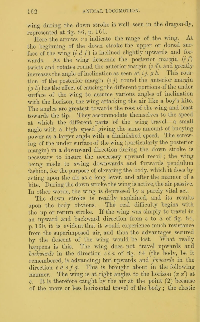 Aving during the down stroke is well seen in the dragon-fly, represented at fig. 80, p. IGl. Here the arrows r s indicate the range of the Aving. At the beginning of the doAvn stroke the upper or dorsal sur- face of the Aving {i df) i& inclined slightly upAvards and for- Avards. As the Aving descends the posterior margin (if) tAAUsts and rotates round the anterior margin (i d), and greatly increases the angle of inclination as seen at ij, g h. This rota- tion of the posterior margin {i j) round the anterior margin (g h) has the effect of causing the different portions of the under surface of the Aving to assume various angles of inclination AAdtli the horizon, the Aving attacking the air like a boy’s kite. The angles are greatest toAA'^ards the root of the Aving and least toAA^ards the tip. They accommodate themselves to the sjieed at AAdiich the different parts of the Aving travel—a small angle Avith a high speed giving the same amount of buoying poAver as a larger angle with a diminished speed. The screAV- ing of the under surface of the Aving (particularly the posterior margin) in a doAvuAvard direction during the doAvn stroke is necessary to insure the necessary upAv^ard recoil; the Aving being made to swing cloAvnAvards and forAA^ards pendulum fashion, for the purpose of elevating the body, AAdiich it does by acting upon the air as a long lever, and after the manner of a kite. During the doAvn stroke the Aving is active,the air passive. In other Avords, the Aving is depressed by a purely vital act. The down stroke is readily explained, and its results upon the body obvious. The real difficulty begins Avith the up or return stroke. If the Aving AA'as simply to travel in an upAvard and backAvard direction from c to a of fig. 84, р. 160, it is evident that it AAmuld experience much resistance from the superimposed air, and thus the advantages secured by the descent of the Aving Avould be lost. What really happens is this. The Aving does not travel upAvards and hachmrds in the direction cha of fig. 84 (the body, be it remembered, is advancing) but upAvards and foncards in the direction c d e f g. This is brought about in the folloAA’ing manner. The Aving is at right angles to the horizon (x x) at с. It is therefore caught by the air at the point (2) because of the more or less horizontal travel of the body; the elastic