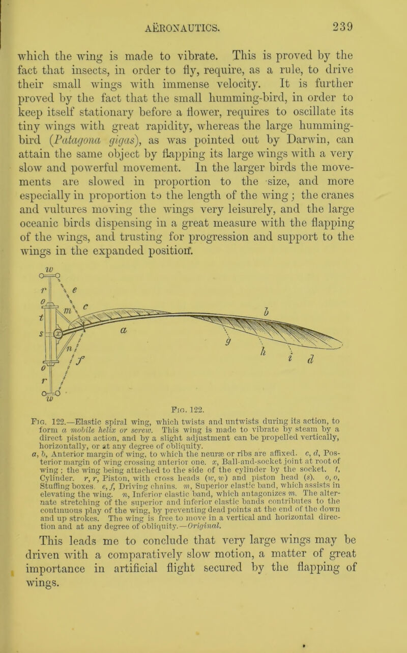 which the wing is made to vibrate. This is proved by the fact that insects, in order to tty, require, as a rule, to drive their small wings with immense velocity. It is further proved by the fact that the small humming-bird, in order to keep itself stationary before a ttower, requires to oscillate its tiny wings with great rapidity, whereas the large humming- bird {Fatagona gkjas), as was pointed out by Darwin, can attain the same object by flapping its large wings with a very slow and powerful movement. In the larger birds the move- ments are slowed in proportion to the size, and more especially in proportion to the length of the wing; the cranes and vultures moving the wings very leisurely, and the large oceanic birds dispensing in a great measure with the flapping of the Avings, and trusting for progression and support to the Avings in the expanded position. w Fig. 122.—Elastic spiral wing, which twists and untwists during its action, to form a mobile helix or screw. This wing is made to vibrate hy steam by a direct piston action, and by a slight adjustment can be propelled vertically, horizontally, or at any degree of obliquity, a, b. Anterior margin of wing, to which tlie neursc or ribs are affixed, c, d, Pos- terior margin of wing crossing anterior one. x, Ball-and-socket joint at root of wing : the wing being attached to the side of the cylinder by the socket, f. Cylinder, r, r. Piston, with cross heads (w, r/>) and piston head (s). o, o. Stuffing boxes, e,/, Driving chains, m, Superior elastic band, which assists in elevating the wing, n, Inferior elastic band, which antagonizes m. The alter- nate stretching of the superior and inferior elastic bands contribules to the continuous play of the wing, by preventing dead jioints at the end of the down and up strokes. The wing is free to move in a vertical and horizontal direc- tion and at any degree of obliquity.—Onffinal. This leads me to conclude that A^ery large Avings may be driA^en Avith a comparatively sIoav motion, a matter of great j importance in artificial flight secured by the flapping of Avings.