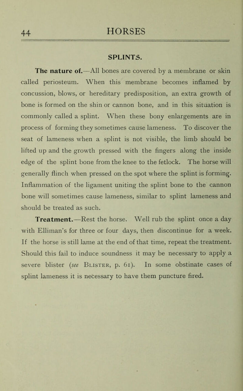 SPLINTS. The nature of.—All bones are covered by a membrane or skin called periosteum. When this membrane becomes inflamed by concussion, blows, or hereditary predisposition, an extra growth of bone is formed on the shin or cannon bone, and in this situation is commonly called a splint. When these bony enlargements are in process of forming they sometimes cause lameness. To discover the seat of lameness when a splint is not visible, the limb should be lifted up and the growth pressed with the fingers along the inside edge of the splint bone from the knee to the fetlock. The horse will generally flinch when pressed on the spot where the splint is forming. Inflammation of the ligament uniting the splint bone to the cannon bone will sometimes cause lameness, similar to splint lameness and should be treated as such. Treatment.—Rest the horse. Well rub the splint once a day with Elliman’s for three or four days, then discontinue for a week. If the horse is still lame at the end of that time, repeat the treatment. Should this fail to induce soundness it may be necessary to apply a severe blister (see Blister, p. 61). In some obstinate cases of splint lameness it is necessary to have them puncture fired.