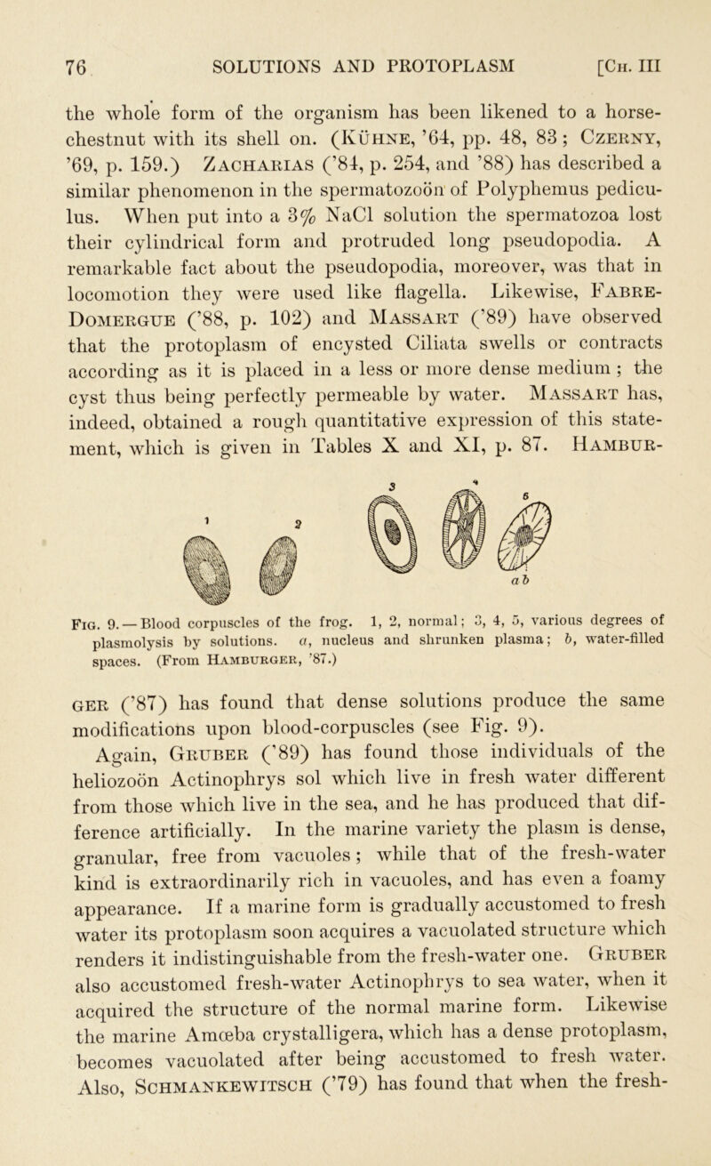 the whole form of the organism has been likened to a horse- chestnut with its shell on. (Kuhne, ’64, pp. 48, 83; Czerny, ’69, p. 159.) Zacharias (’84, p. 254, and ’88) has described a similar phenomenon in the spermatozoon of Polyphemus pedicu- lus. When put into a 3% NaCl solution the spermatozoa lost their cylindrical form and protruded long pseudopodia. A remarkable fact about the pseudopodia, moreover, was that in locomotion they were used like flagella. Likewise, Fabre- Domergue (’88, p. 102) and Massart (’89) have observed that the protoplasm of encysted Ciliata swells or contracts according as it is placed in a less or more dense medium ; the cyst thus being perfectly permeable by water. Massart has, indeed, obtained a rough quantitative expression of this state- ment, which is given in Tables X and XI, p. 8<. Hambur- Fjg. 9. — Blood corpuscles of the frog. 1, 2, normal; 3, 4, 5, various degrees of plasmolysis by solutions. a, nucleus and shrunken plasma; b, water-filled spaces. (From Hamburger, 87.) ger (’87) lias found that dense solutions produce the same modifications upon blood-corpuscles (see Fig. 9). Again, Gruber (’89) has found those individuals of the lieliozoon Actinophrys sol which live in fresh water different from those which live in the sea, and he has produced that dif- ference artificially. In the marine variety the plasm is dense, granular, free from vacuoles; while that of the fresh-water kind is extraordinarily rich in vacuoles, and has even a foamy appearance. If a marine form is gradually accustomed to fresh water its protoplasm soon acquires a vacuolated structure which renders it indistinguishable from the fresh-water one. Gruber also accustomed fresh-water Actinophrys to sea water, when it acquired the structure of the normal marine form. Likewise the marine Amceba crystalligera, which has a dense protoplasm, becomes vacuolated after being accustomed to fresh watei. Also, Schmankewitsch (’79) has found that when the fresh-