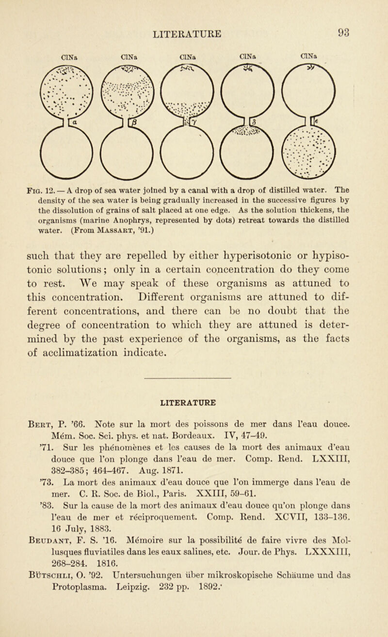 CINa CINa CINa CINa CINa Fig. 12. — A drop of sea water joined by a canal with a drop of distilled water. The density of the sea water is being gradually increased in the successive figures by the dissolution of grains of salt placed at one edge. As the solution thickens, the organisms (marine Anophrys, represented by dots) retreat towards the distilled water. (From Massart, ’91.) such that they are repelled by either hyperisotonic or hypiso- tonic solutions; only in a certain concentration do they come to rest. We may speak of these organisms as attuned to this concentration. Different organisms are attuned to dif- ferent concentrations, and there can be no doubt that the degree of concentration to which they are attuned is deter- mined by the past experience of the organisms, as the facts of acclimatization indicate. LITERATURE Bert, P. ’66. Note sur la mort des poissons de mer dans l’eau douce. Mem. Soc. Sci. phys. et nat. Bordeaux. IV, 47-49. ’71. Sur les phenomenes et les causes de la mort des animaux d’eau douce que l’on plonge dans l’eau de mer. Comp. Rend. LXXIII, 382-385; 464-467. Aug. 1871. ’73. La mort des animaux d’eau douce que Ton immerge dans l’eau de mer. C. R. Soc. de Biol., Paris. XXIII, 59-61. ’83. Sur la cause de la mort des animaux d’eau douce qu’on plonge dans l’eau de mer et reciproquement. Comp. Rend. XCVII, 133-136. 16 July, 1883. Beudant, F. S. T6. Memoire sur la possibility de faire vivre des Mol- lusques fluviatiles dans les eaux salines, etc. Jour, de Phys. LXXXIII, 268-284. 1816. Butschli, O. ’92. Untersuchungen liber mikroskopische Schaume und das Protoplasma. Leipzig. 232 pp. 1892/