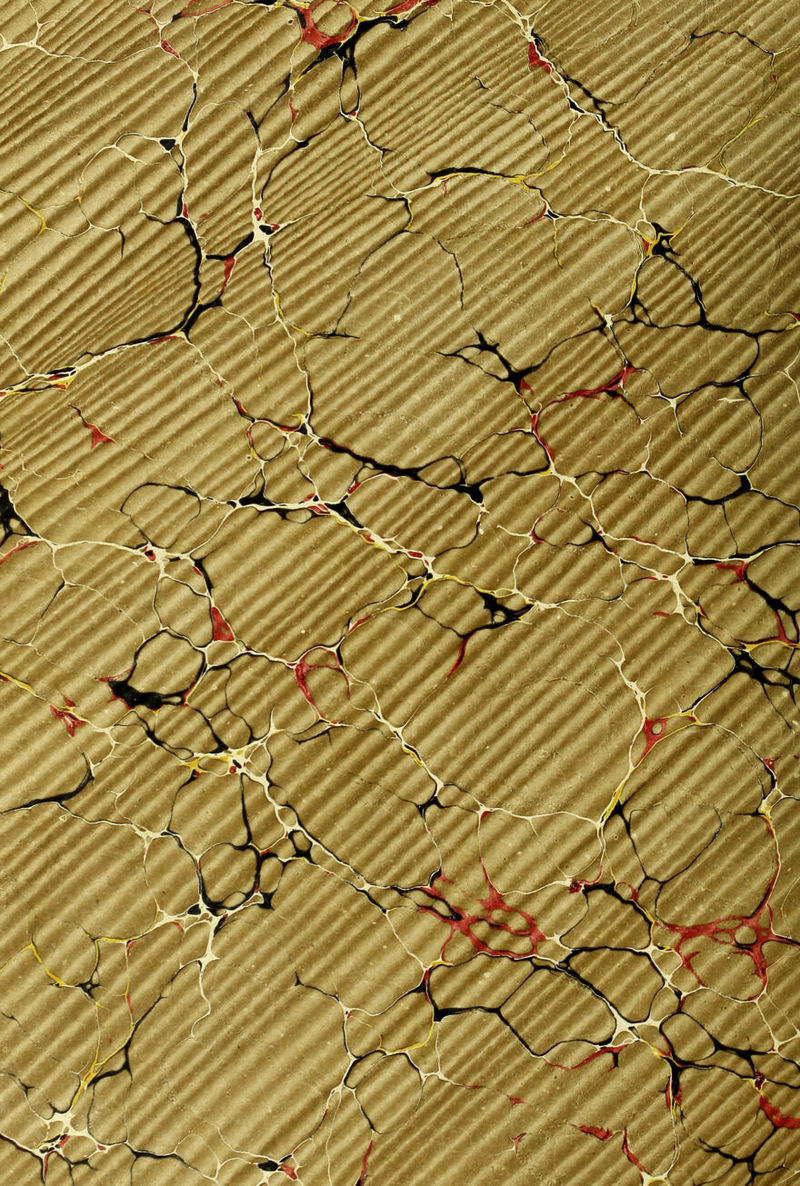 No text description is available for this image