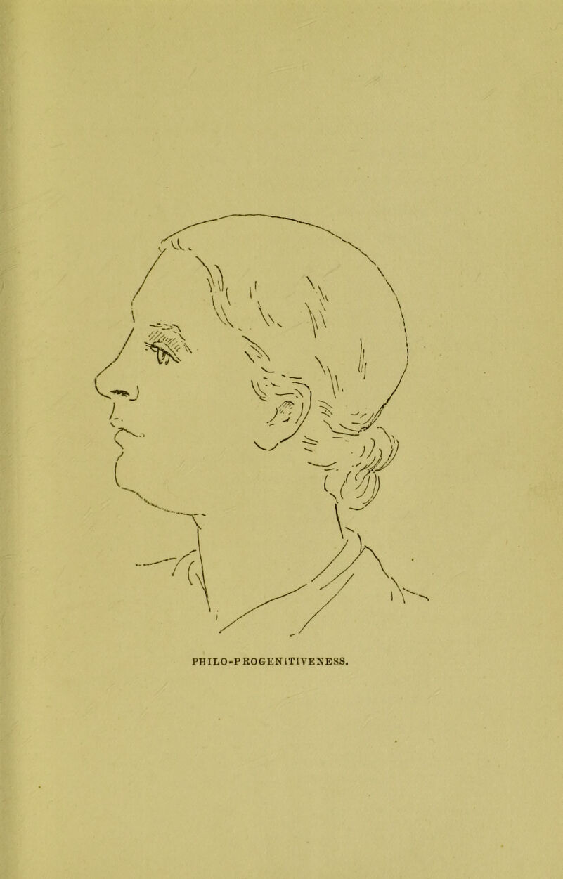 PHILO-PRO GEN ITLVENESS.