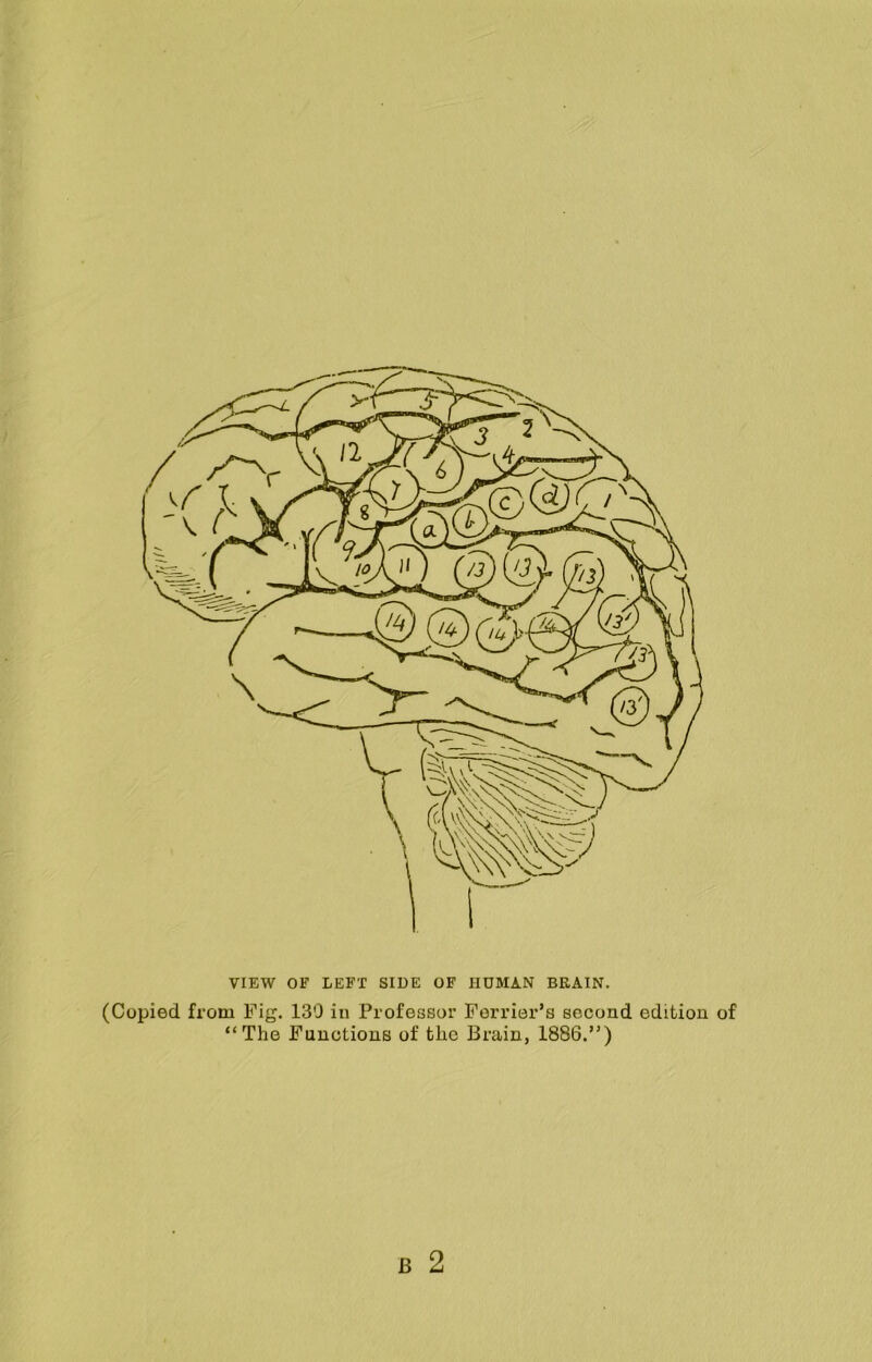 VIEW OF LEFT SIDE OF HUMAN BRAIN. (Copied from Fig. 130 in Professor Forrier’s second edition of “The Functions of the Brain, 1886.”)
