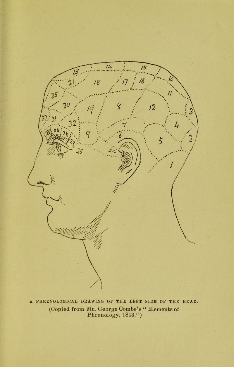 A PHRENOLOGICAL DRAWING OF THE LEFT SIDE OF THE HEAD. (Copied from Mr. George Combe’s “ Elements of Phrenology, 1843.”)