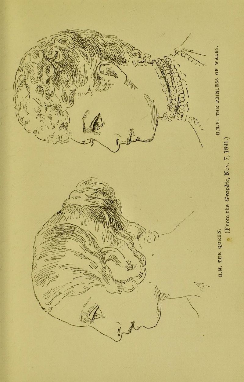 (From the Graphic, Nov. 7, 1891.)