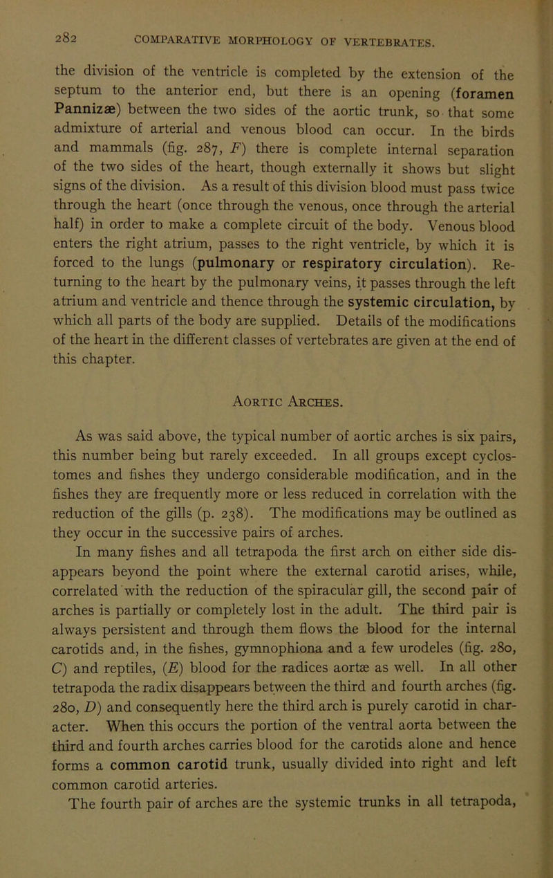 the division of the ventricle is completed by the extension of the septum to the anterior end, but there is an opening (foramen Pannizae) between the two sides of the aortic trunk, so that some admixture of arterial and venous blood can occur. In the birds and mammals (fig. 287, F) there is complete internal separation of the two sides of the heart, though externally it shows but slight signs of the division. As a result of this division blood must pass twice through the heart (once through the venous, once through the arterial half) in order to make a complete circuit of the body. Venous blood enters the right atrium, passes to the right ventricle, by which it is forced to the lungs (pulmonary or respiratory circulation). Re- turning to the heart by the pulmonary veins, it passes through the left atrium and ventricle and thence through the systemic circulation, by which all parts of the body are supplied. Details of the modifications of the heart in the different classes of vertebrates are given at the end of this chapter. Aortic Arches. As was said above, the typical number of aortic arches is six pairs, this number being but rarely exceeded. In all groups except cyclos- tomes and fishes they undergo considerable modification, and in the fishes they are frequently more or less reduced in correlation with the reduction of the gills (p. 238). The modifications may be outlined as they occur in the successive pairs of arches. In many fishes and all tetrapoda the first arch on either side dis- appears beyond the point where the external carotid arises, while, correlated with the reduction of the spiracular gill, the second pair of arches is partially or completely lost in the adult. The third pair is always persistent and through them flows the blood for the internal carotids and, in the fishes, gymnophiona and a few urodeles (fig. 280, C) and reptiles, (E) blood for the radices aortse as well. In all other tetrapoda the radix disappears between the third and fourth arches (fig. 280, D) and consequently here the third arch is purely carotid in char- acter. When this occurs the portion of the ventral aorta between the third and fourth arches carries blood for the carotids alone and hence forms a common carotid trunk, usually divided into right and left common carotid arteries. The fourth pair of arches are the systemic trunks in all tetrapoda,