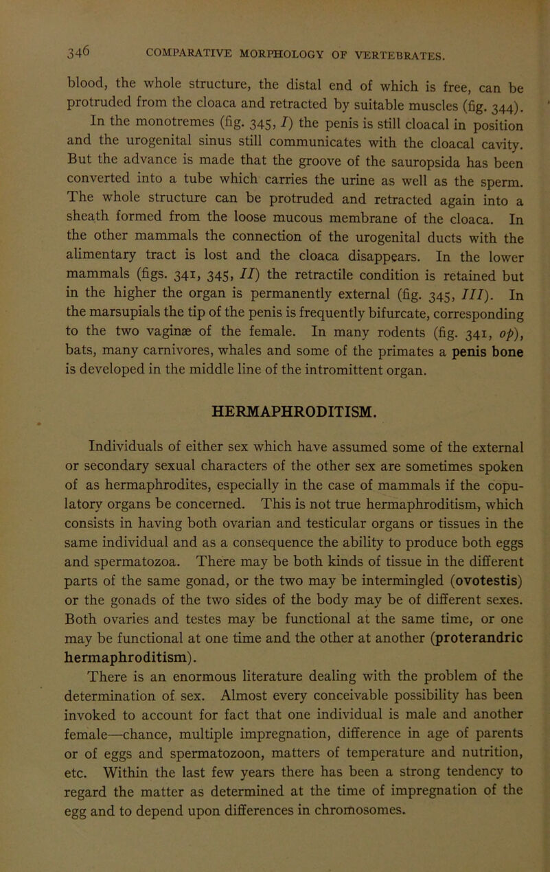 blood, the whole structure, the distal end of which is free, can be protruded from the cloaca and retracted by suitable muscles (fig. 344). In the monotremes (fig. 345,1) the penis is still cloacal in position and the urogenital sinus still communicates with the cloacal cavity. But the advance is made that the groove of the sauropsida has been converted into a tube which carries the urine as well as the sperm. The whole structure can be protruded and retracted again into a sheath formed from the loose mucous membrane of the cloaca. In the other mammals the connection of the urogenital ducts with the alimentary tract is lost and the cloaca disappears. In the lower mammals (figs. 341, 345, II) the retractile condition is retained but in the higher the organ is permanently external (fig. 345, III). In the marsupials the tip of the penis is frequently bifurcate, corresponding to the two vaginae of the female. In many rodents (fig. 341, op), bats, many carnivores, whales and some of the primates a penis bone is developed in the middle line of the intromittent organ. HERMAPHRODITISM. Individuals of either sex which have assumed some of the external or secondary sexual characters of the other sex are sometimes spoken of as hermaphrodites, especially in the case of mammals if the copu- latorv organs be concerned. This is not true hermaphroditism, which consists in having both ovarian and testicular organs or tissues in the same individual and as a consequence the ability to produce both eggs and spermatozoa. There may be both kinds of tissue in the different parts of the same gonad, or the two may be intermingled (ovotestis) or the gonads of the two sides of the body may be of different sexes. Both ovaries and testes may be functional at the same time, or one may be functional at one time and the other at another (proterandric hermaphroditism). There is an enormous literature dealing with the problem of the determination of sex. Almost every conceivable possibility has been invoked to account for fact that one individual is male and another female—chance, multiple impregnation, difference in age of parents or of eggs and spermatozoon, matters of temperature and nutrition, etc. Within the last few years there has been a strong tendency to regard the matter as determined at the time of impregnation of the egg and to depend upon differences in chromosomes.