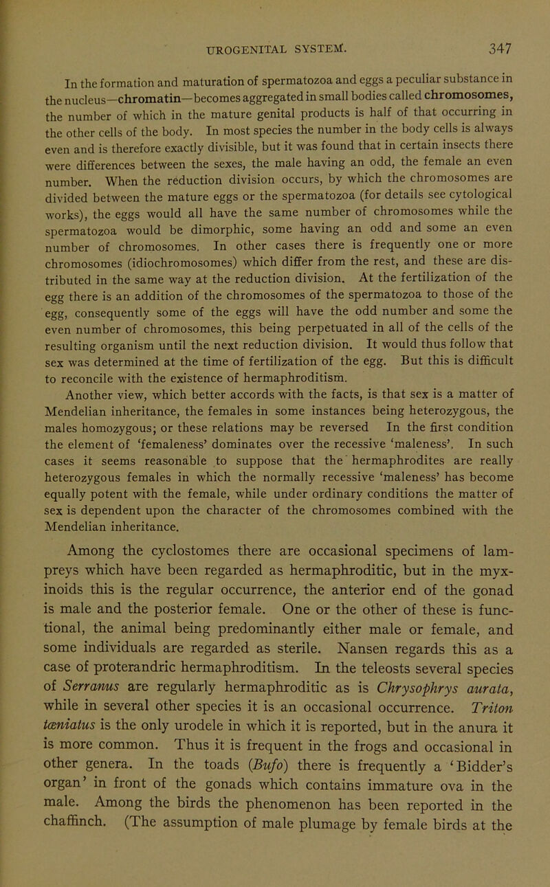 In the formation and maturation of spermatozoa and eggs a peculiar substance in the nucleus—chromatin—becomes aggregated in small bodies called chromosomes, the number of which in the mature genital products is half of that occurring in the other cells of the body. In most species the number in the body cells is always even and is therefore exactly divisible, but it was found that in certain insects there were differences between the sexes, the male having an odd, the female an even number. When the reduction division occurs, by which the chromosomes are divided between the mature eggs or the spermatozoa (for details see cytological works), the eggs would all have the same number of chromosomes while the spermatozoa would be dimorphic, some having an odd and some an even number of chromosomes. In other cases there is frequently one or more chromosomes (idiochromosomes) which differ from the rest, and these are dis- tributed in the same way at the reduction division. At the fertilization of the egg there is an addition of the chromosomes of the spermatozoa to those of the egg, consequently some of the eggs will have the odd number and some the even number of chromosomes, this being perpetuated in all of the cells of the resulting organism until the next reduction division. It would thus follow that sex was determined at the time of fertilization of the egg. But this is difficult to reconcile with the existence of hermaphroditism. Another view, which better accords with the facts, is that sex is a matter of Mendelian inheritance, the females in some instances being heterozygous, the males homozygous; or these relations may be reversed In the first condition the element of ‘femaleness’ dominates over the recessive ‘maleness’. In such cases it seems reasonable to suppose that the hermaphrodites are really heterozygous females in which the normally recessive ‘maleness’ has become equally potent with the female, while under ordinary conditions the matter of sex is dependent upon the character of the chromosomes combined with the Mendelian inheritance. Among the cyclostomes there are occasional specimens of lam- preys which have been regarded as hermaphroditic, but in the myx- inoids this is the regular occurrence, the anterior end of the gonad is male and the posterior female. One or the other of these is func- tional, the animal being predominantly either male or female, and some individuals are regarded as sterile. Nansen regards this as a case of proterandric hermaphroditism. In the teleosts several species of S err anus are regularly hermaphroditic as is Chrysophrys aurata, while in several other species it is an occasional occurrence. Triton tceniatus is the only urodele in which it is reported, but in the anura it is more common. Thus it is frequent in the frogs and occasional in other genera. In the toads (Bufo) there is frequently a ‘Bidder’s organ’ in front of the gonads which contains immature ova in the male. Among the birds the phenomenon has been reported in the chaffinch. (The assumption of male plumage by female birds at the
