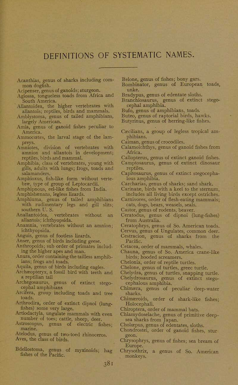 DEFINITIONS OF SYSTEMATIC NAMES. Acanthias, genus of sharks including com- mon dogfish. Acipenser, genus of ganoids; sturgeon. Aglossa, tongueless toads from Africa and South America. Allantoidea, the higher vertebrates with allantois; reptiles, birds and mammals. Amblystoma, genus of tailed amphibians, largely American. Amia, genus of ganoid fishes peculiar to America. Ammoccetes, the larval stage of the lam- preys. Amniotes, division of vertebrates with amnion and allantois in development; reptiles, birds and mammal. Amphibia, class of vertebrates, young with gills, adults with lungs; frogs, toads and salamanders. Amphioxus, fish-like form without verte- brae, type of group of Leptocardii. Amphipnous, eel-like fishes from India. Amphisbaenans, legless lizards. Amphiuma, genus of tailed amphibians with rudimentary legs and gill slits; southern U. S. Anallantoidea, vertebrates without an allantois; ichthyopsida. Anamnia, vertebrates without an amnion; ichthyopsida. Anguis, genus of footless lizards. Anser, genus of birds including geese. Anthropoids; sub order of primates includ- ing the higher apes and man. Anura, order containing the tailless amphib- ians; frogs and toads. Aquila, genus of birds including eagles. Archaeopteryx, a fossil bird with teeth and a reptilian tail Archegosaurus, genus of extinct stego- cephal amphibians Arcifera, group including toads and tree toads. Arthrodira, order of extinct dipnoi (lung- fishes) some very large. Artiodactyla, ungulate mammals with even number of toes; cattle, sheep, deer. Astroscopus, genus of electric fishes; marine. Atelodus, genus of two-toed rhinoceros. Aves, the class of birds. Bdellostoma, genus of myxinoids; hag fishes of the Pacific. 381 Belone, genus of fishes; bony gars. Bombinator, genus of European toads, unke. Bradypus, genus of edentate sloths. Branchiosaurus, genus of extinct stego- cephal amphibia. Bufo, genus of amphibians, toads. Buteo, genus of raptorial birds, hawks. Butyrinus, genus of herring-like fishes. Cascilians, a group of legless tropical am- phibians. Caiman, genus of crocodiles. Calamoichthys, genus of ganoid fishes from Africa. Callopterus, genus of extinct ganoid fishes. Camptosaurus, genus of extinct dinosaur reptiles. Capitosaurus, genus of extinct stegocepha- lous amphibia. Carcharias, genus of sharks; sand shark. Carinatae, birds with a keel to the sternum, includes all living birds except ostriches. Carnivores, order of flesh-eating mammals; cats, dogs, bears, weasels, seals. Castor, genus of rodents, beaver. Ceratodus, genus of dipnoi (lung-fishes) from Australia. Ceratophrys, genus of So. American toads. Cervus, genus of Ungulates, common deer. Cestracion, genus of sharks from the Pacific. Cetacea, order of mammals, whales. Chauna, genus of So. America crane-like birds; hooded screamers. Chelonia, order of reptile turtles. Chelone, genus of turtles, greec turtle. Chelydra, genus of turtles, snapping turtle. Chelydrosaurus, genus of extinct stego- cephalous amphibia. Chimasra, genus of peculiar deep-water sharks. Chimaeroids, order of shark-like fishes; Holocephali. Chiroptera, order of mammal bats. Chlamydoselache, genus of primitive deep- sea sharks from Japan. Choloepus, genus of edentates, sloths. Chondrostei, order of ganoid fishes, stur geon. Chrysophrys, genus of fishes; sea bream of Europe. Chrysothrix, a genus of So. American monkeys.