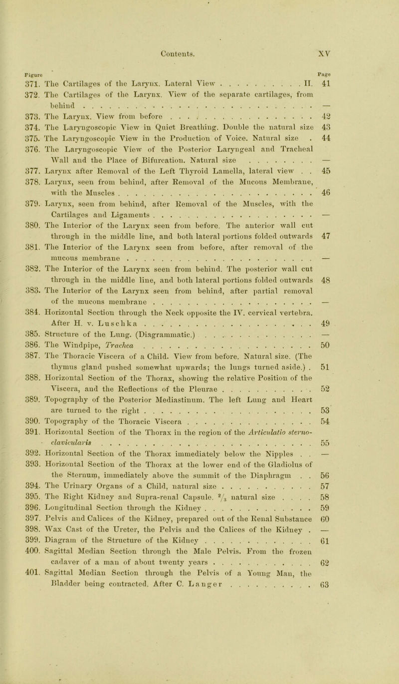 Figure Page 371. The Cartilao’es of the Larynx. Lateral View II. 41 372. The Cartilag’Gs of the Larynx. View of the separate cartilages, from hehind — 373. The Larynx. View from before 42 374. The Imiyugoscopic View in Quiet Breathing. Double the natural size 43 375. The Laryngoscopie View in the Production of Voice. Natural size . 44 376. The Laryngoscopie View of the Posterior Laryngeal and Tracheal Wall and the Place of Bifurcation. Natural size — 377. Larynx after Removal of the Left Thyroid Lamella, lateral view . . 45 378. Larynx, seen from behind, after Removal of the Mucous Membrane, with the Muscles 46 379. Laiwnx, seen from behind, after Removal of the Muscles, with the Cartilages and Lif^aments — 380. The Interior of the Larynx seen from before. The anterior wall cut through in the middle line, and both lateral })ortions folded outwards 47 381. The Interior of the Larynx seen from before, after removal of the mucous membrane — 382. The Interior of the Larynx seen from behind. The posterior wall cut through in the middle line, and both lateral portions folded outwards 48 383. The Interior of the Larynx seen from behind, after partial removal of the mucons membrane — 384. Horizontal Section through the Neck opposite the IV. cervical vertebra. After H. V. Luschka . . 49 385. Structure of the Lung. (Diagrammatic.) — 386. The Windpipe, Trachea 50 387. The Thoracic Viscera of a Child. View from before. Natural size. (The thymus gland pushed somewhat iTpwards; the lungs turned aside.) . 51 388. Horizontal Section of the Thorax, showing the relative Position of the Viscera, and the Reflections of the Pleurae 52 389. Topography of the Posterior Mediastinum. The left Lung and Heart are turned to the right 53 390. Topography of the Thoracic Viscera 54 391. Horizontal Section of the Thorax in the reo-ion of the Articnlatio sterna- O clavicularis 55 392. Horizontal Section of the Thorax immediately below the Nipples . . — 393. Horizontal Section of the Thorax at the lower end of the Gladiolus of the Sternum, immediately above the summit of the Diaphragm . . 56 394. The Urinary Organs of a Child, natural size 57 395. The Right Kidney and Supra-renal Capsule. natural size .... 58 396. Longitudinal Section through the Kidney 59 397. Pelvis and Calices of the Kidney, prepared out of the Renal Substance 60 398. Wax Cast of the Ureter, the Pelvis and the Calices of the Kidney . — 399. Diagram of tlie Structure of the Kidney 61 400. Sagittal Median Section through the Male Pelvis. From the frozen cadaver of a man of about twenty years 62 401. Sagittal Median Section through the Pelvis of a Young Man, tlie Bladder being contracted. After C. Danger G3