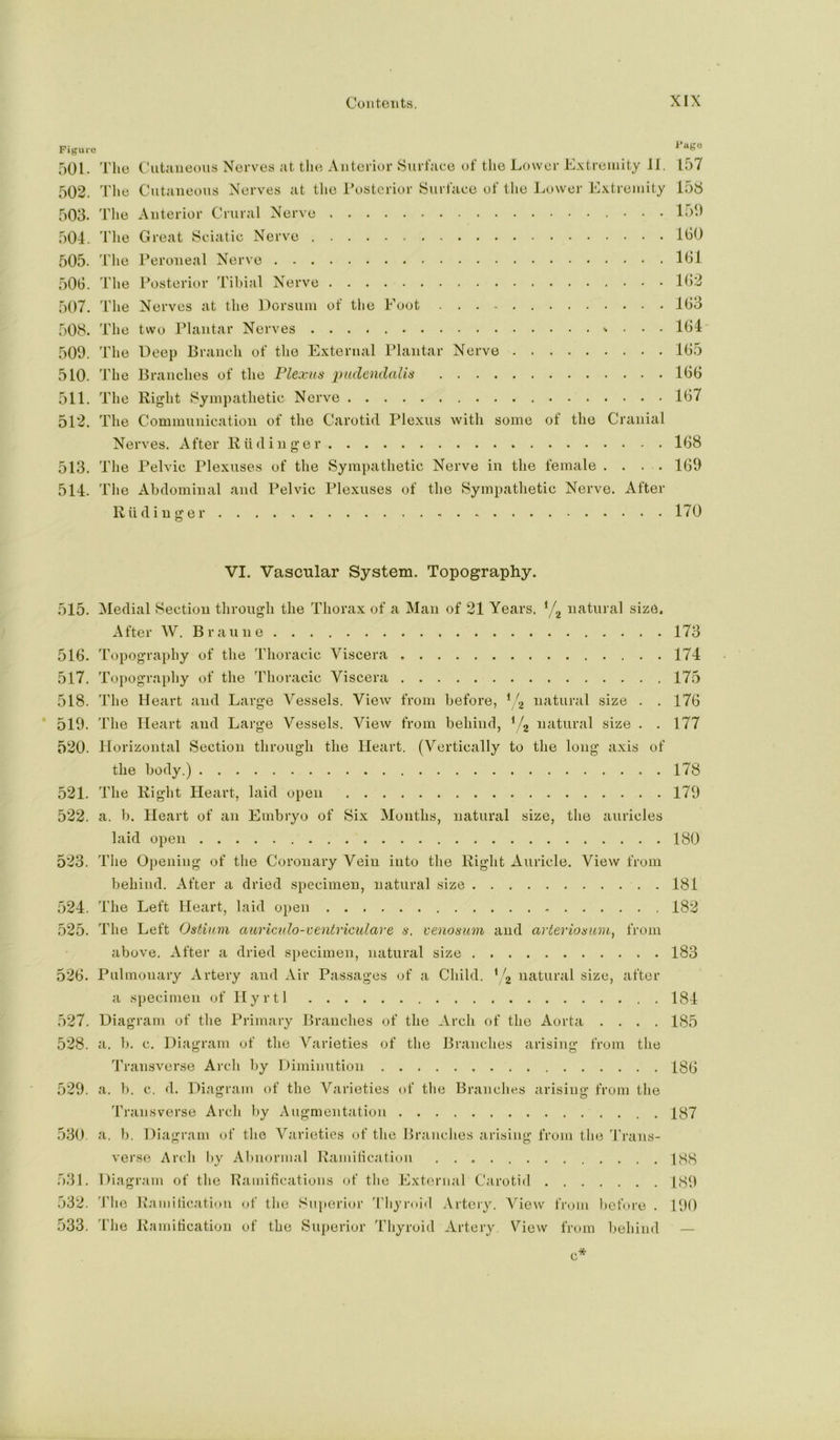 Figure 501. The Cut.-iueoiis Nerves at the Anterior Surface of the Lower Extremity IJ. 157 502. The Cutaneous Nerves at the I’ostcrior Surface of the Lower Extremity 158 503. The Anterior Crural Nerve • • 150 504. Tlie Great Sciatic Nerve 100 505. The Peroneal Nerve 101 500. The Posterior Tibial Nerve 102 507. The Nerves at the Dorsum of the Eoot 103 508. The two Plantar Nerves . . . 104 509. The Deep Branch of the External I’lantar Nerve 105 510. The Branches of the Plexus pudendalis 100 511. The Right Sympathetic Nerve 107 512. The Cominunication of the Carotid Plexus with some of the Cranial Nerves. After Riidinger 108 513. The Pelvic Plexuses of the Sympathetic Nerve in the female . . . . 100 514. The Abdominal and Pelvic Plexuses of the Sympathetic Nerve. After Rii dinger 170 VI, Vascular System. Topography. 515. Medial Section through the Thorax of a Man of 21 Years, ‘/j lui^Po al size. After W. Braune 173 510. Topography of the Thoracic Viscera 174 517. Topography of the Thoracic Viscera 175 518. The Heart and Large Vessels. View from before, ‘/g natural size . . 170 519. The Heart and Large Vessels. View from behind, ’/j natural size . .177 520. Horizontal Section through the Heart. (Vertically to the long axis of the body.) 178 521. The Right Heart, laid open 179 522. a. b. Heart of an Embryo of Six Months, natural size, the auricles laid open 180 523. The Opening of the Coronary Vein into the Right Auricle. View from behind. After a dried specimen, natural size 181 524. The Left Heart, laid open 182 525. The Left Ostium aiiricido-ventvicidare s. venosum and arteviosiim, from above. After a dried specimen, natural size 183 526. Pulmonary Artery and Air Passages of a Child. natural size, after a specimen of Hyrtl 184 527. Diagram of the Primary Branches of the Arch of the Aorta .... 185 528. a. b. c. Diagram of the Varieties of the Branches arising from the Transverse Arch by Diminution 186 529. a. b. c. d. Diagram of the Varieties of the Branches arising from the 4'ransverse Arch by Augmentation 187 530. a. b. Diagram of the Varieties of the Branches arising from the 4'rans- verse Arch by Almormal Ramilicatiun 1H8 531. Diagram of the Ramifications <jf the Extcnmal Carotid 189 532. 4'he Rnmilicatiou (jf the Superior I’liymiil Artery. View from before . 190 .533. 4he Ramification of the Superior 4'hyroid Artery, View from behind — c*