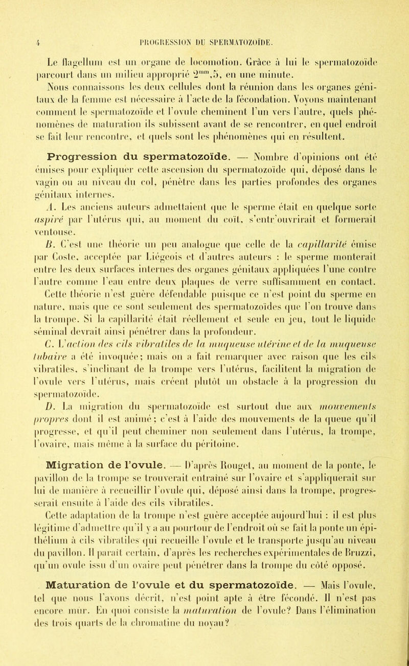 Le flagellum est un organe de locomotion. Grâce à lui le spermatozoïde parcourt dans un milieu approprié t2mm,5, en une minute. Nous connaissons les deux cellules dont la réunion dans les organes géni- taux de la femme est nécessaire à l’acte de la fécondation. Voyons maintenant comment le spermatozoïde et l’ovule cheminent l’un vers l’autre, quels phé- nomènes de maturation ils subissent avant de se rencontrer, en quel endroit se fait leur rencontre, et quels sont les phénomènes qui en résultent. Progression du spermatozoïde. — Nombre d’opinions ont été émises pour expliquer cette ascension du spermatozoïde qui, déposé dans le vagin ou au niveau du col, pénètre dans les parties profondes des organes génitaux internes. A. Les anciens auteurs admettaient (pic le sperme était en quelque sorte aspiré par l’utérus qui, au moment du coït, s’entr’ouvrirait et formerait ventouse. B. C’est une théorie un peu analogue que celle de la capillarité émise par Coste, acceptée par Liégeois et d’autres auteurs : le sperme monterait entre les deux surfaces internes des.organes génitaux appliquées l’une contre l’autre comme l’eau entre deux plaques de verre suffisamment en contact. Cette théorie n’est guère défendable puisque ce n’est point du sperme eu nature, mais que ce sont seulement des spermatozoïdes que l’on trouve dans la trompe. Si la capillarité était réellement et seule en jeu, tout le liquide séminal devrait ainsi pénétrer dans la profondeur. C. \j action des cils vibratilcs de la muqueuse utérine et de la muqueuse lubaire a été invoquée; mais on a fait remarquer avec raison que les cils vibratiles, s’inclinant de la trompe vers l’utérus, facilitent la migration de l’ovule vers l’utérus, mais créent plutôt un obstacle à la progression du spermatozoïde. D. La migration du spermatozoïde est surtout due aux mouvements propres dont il est animé; c’est à l'aide des mouvements de la queue qu’il progresse, et qu’il peut cheminer non seulement dans l’utérus, la trompe, l’ovaire, mais même à la surface du péritoine. Migration de l’ovule. — D’après Rouget, au moment de la ponte, le pavillon de la trompe se trouverait entraîné sur l’ovaire et s’appliquerait sur lui de manière à recueillir l’ovule qui, déposé ainsi dans la trompe, progres- serait ensuite à l’aide des cils vibratiles. Cette adaptation de la trompe n’est guère acceptée aujourd’hui : il est plus légitime d’admettre qu’il y a au pourtour de l’endroit où se fait la ponte un épi- thélium à cils vibratiles qui recueille l’ovule et le transporte jusqu’au niveau du pavillon. Il parait certain, d’après les recherches expérimentales de Bruzzi, qu’un ovule issu d’un ovaire peut pénétrer dans la trompe du côté opposé. Maturation de Lovule et du spermatozoïde. — Mais l’ovule, tel que nous l’avons décrit, n’est point apte à être fécondé. 11 n’est pas encore mûr. En quoi consiste la maturation de l’ovule? Dans l’élimination des trois quarts de la chromatine du noyau?